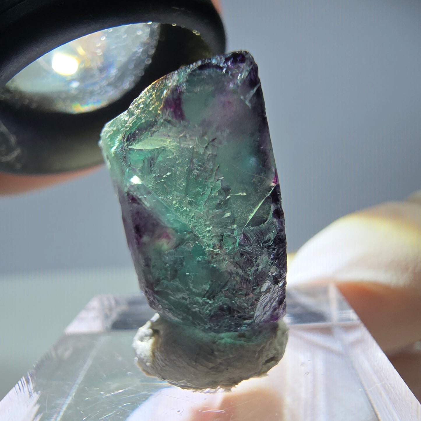 Rare cube de fluorite fantôme parqueté vert violet Okorusu Namibie 21*19*13mm