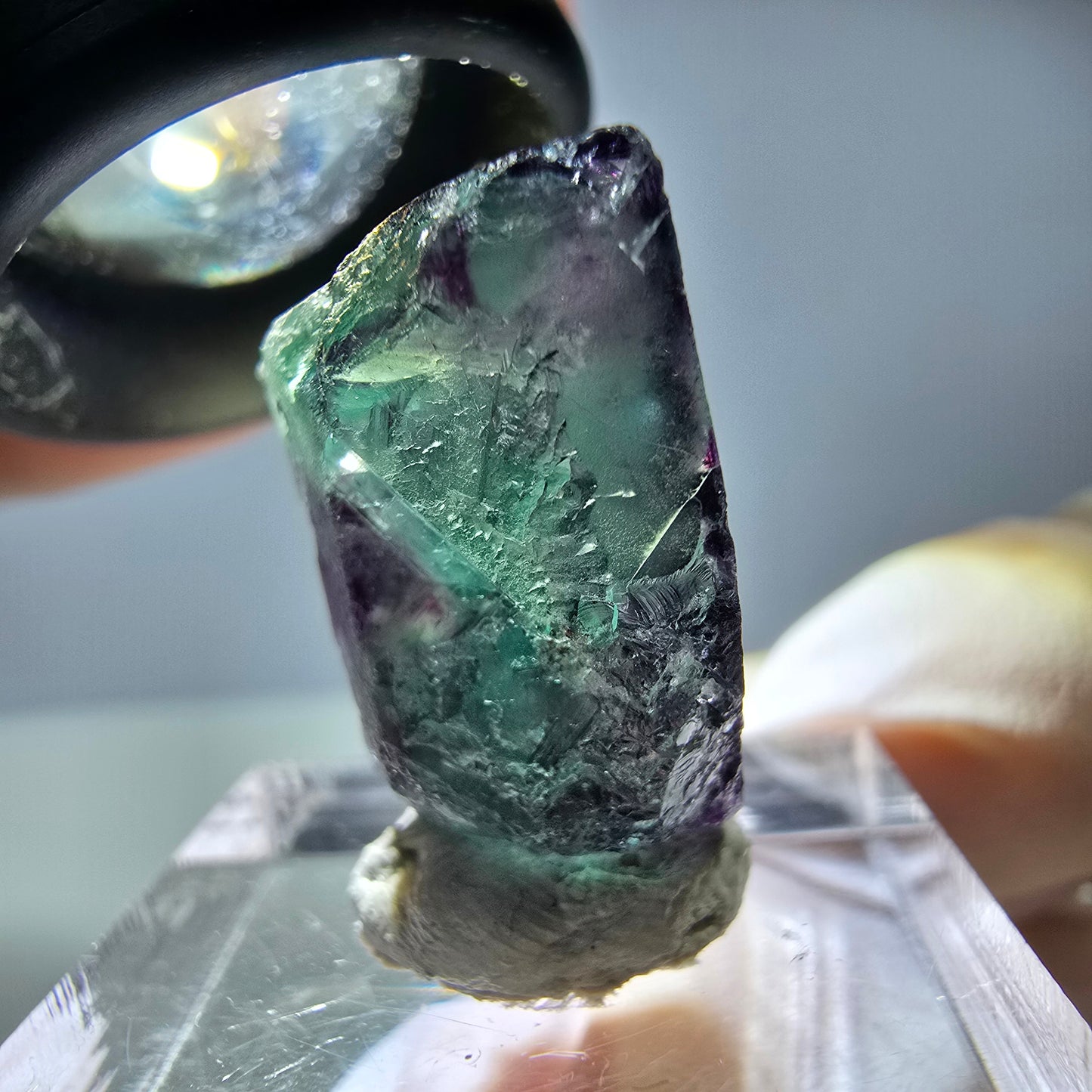 Rare cube de fluorite fantôme parqueté vert violet Okorusu Namibie 21*19*13mm