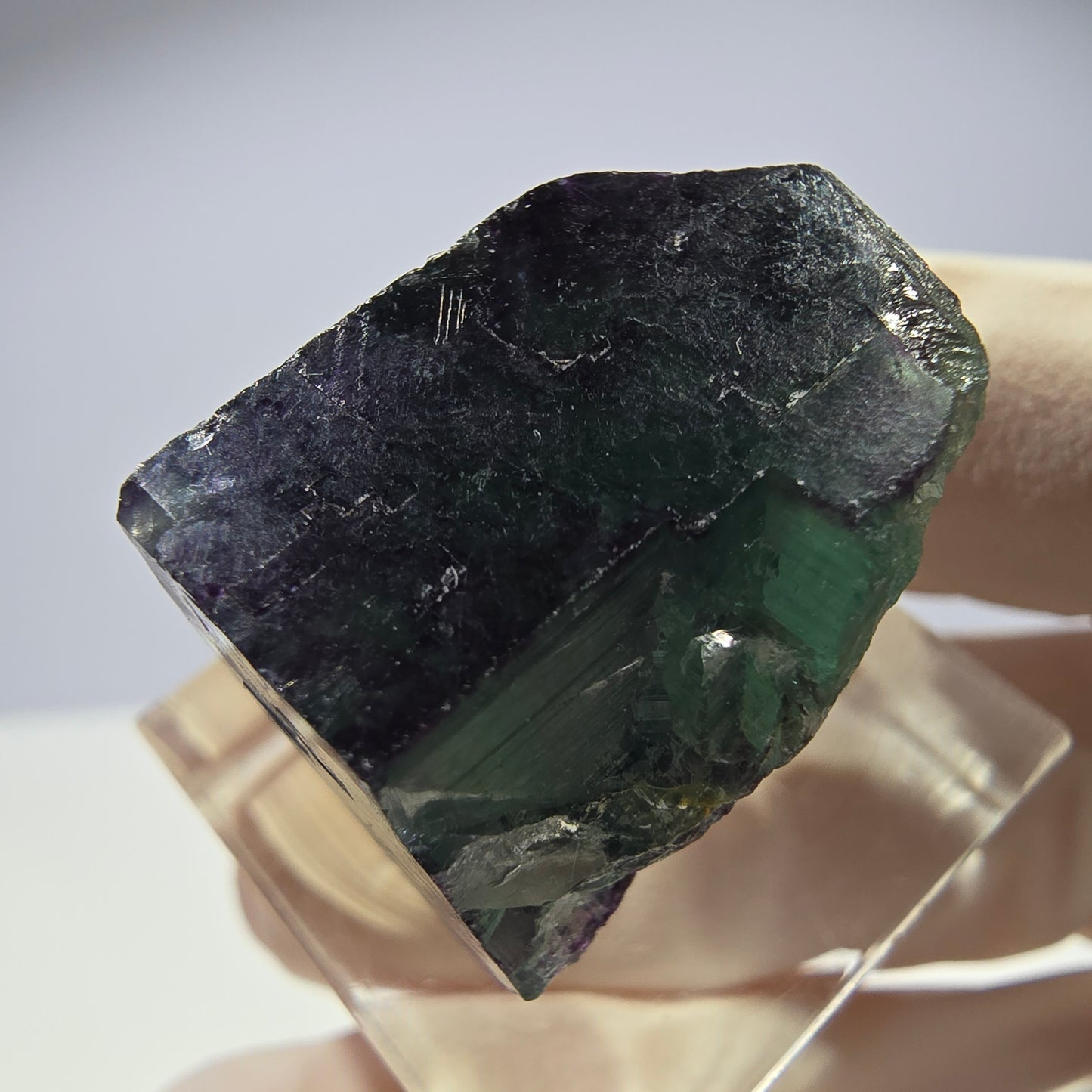 Rare cube de fluorite fantôme parqueté vert violet Okorusu Namibie 23*21*13mm