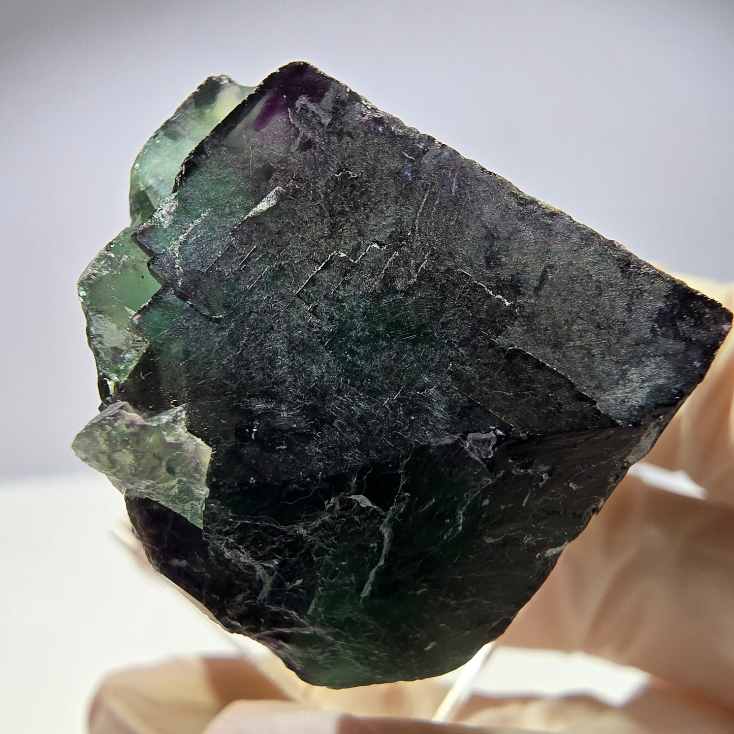Rare cube de fluorite fantôme parqueté vert violet Okorusu Namibie 31*27*21mm