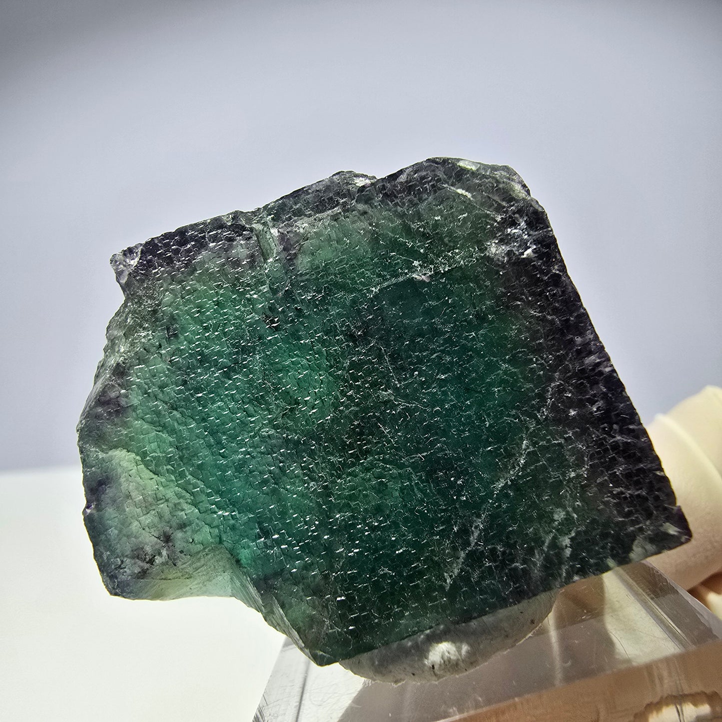 Rare cube de fluorite fantôme parqueté vert violet Okorusu Namibie 37*31*26mm