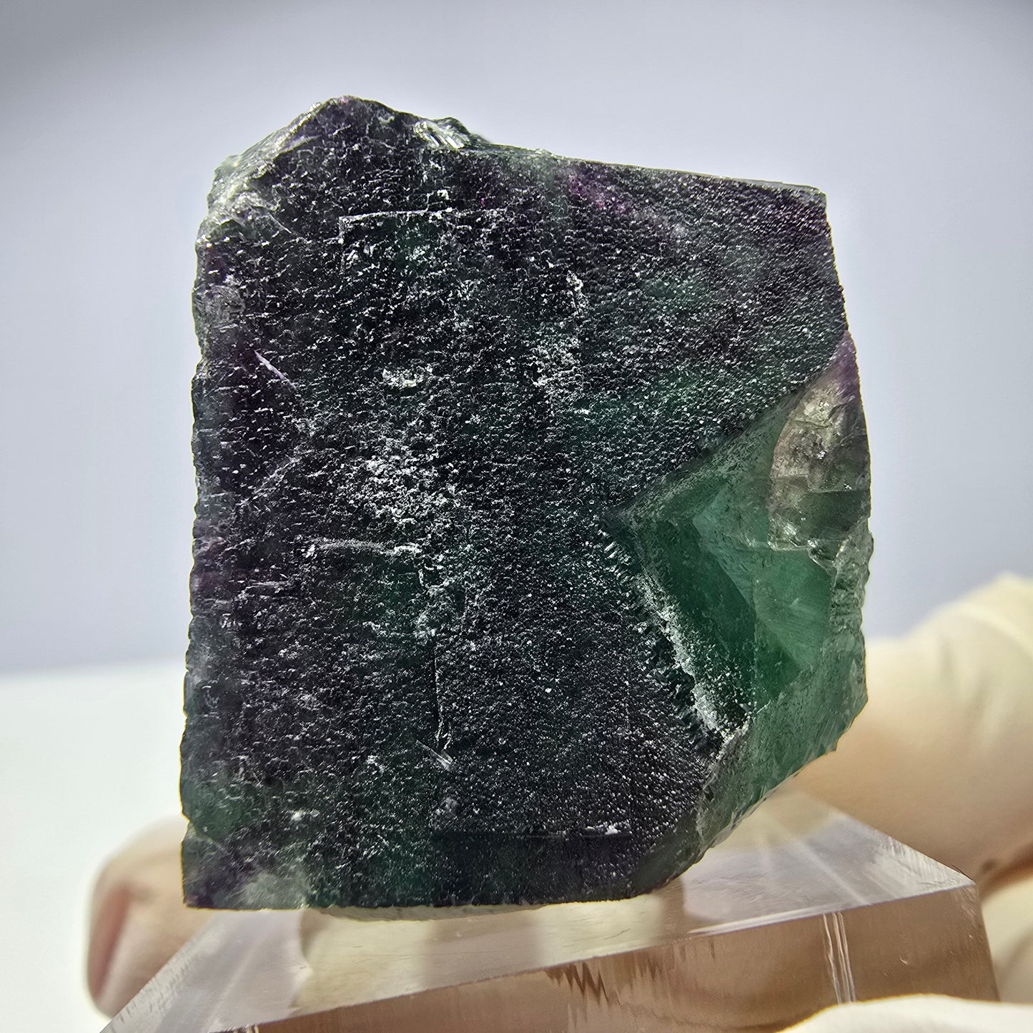 Rare cube de fluorite fantôme parqueté vert violet Okorusu Namibie 37*31*26mm