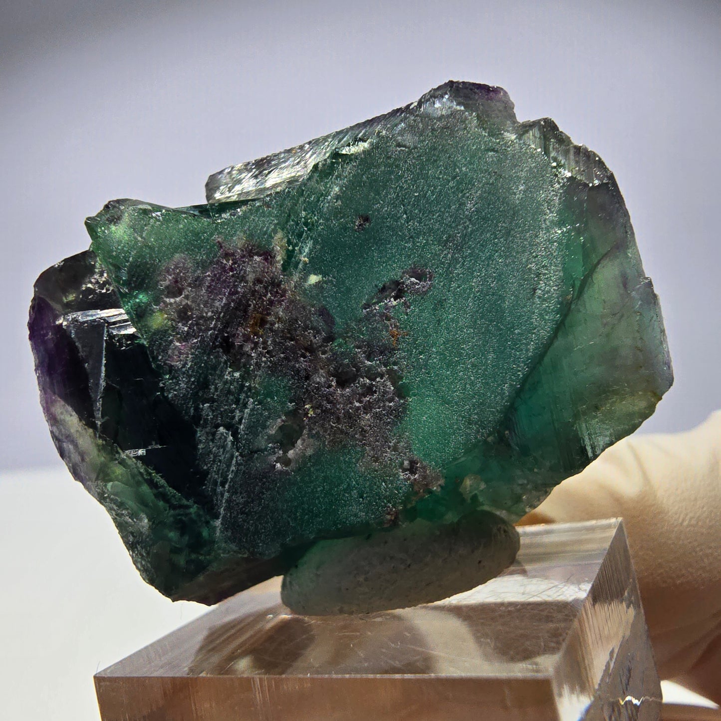 Rare cube de fluorite fantôme parqueté vert violet Okorusu Namibie 37*31*26mm
