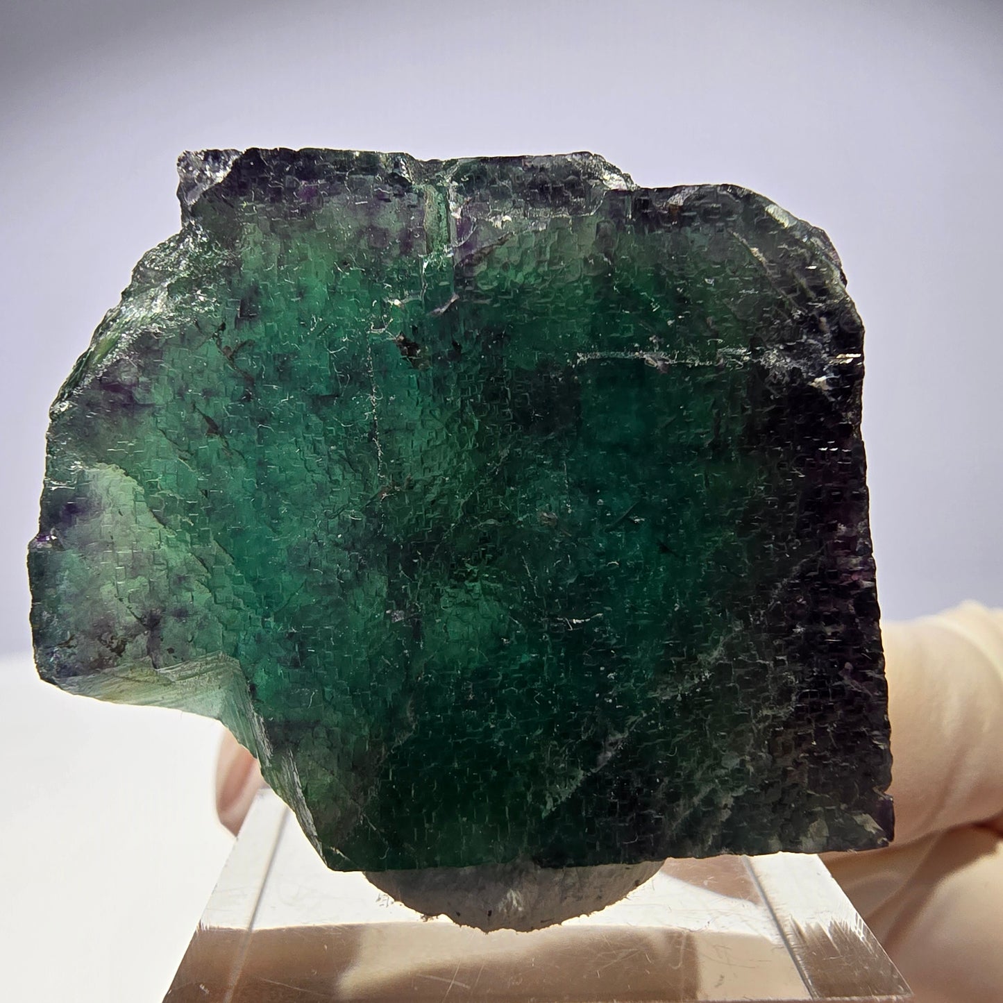 Rare cube de fluorite fantôme parqueté vert violet Okorusu Namibie 37*31*26mm
