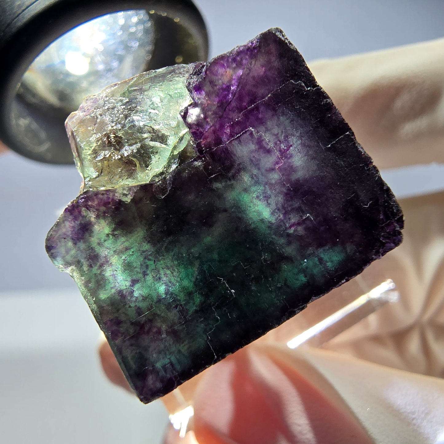 Rare cube de fluorite fantôme parqueté vert violet Okorusu Namibie 23*22*22mm