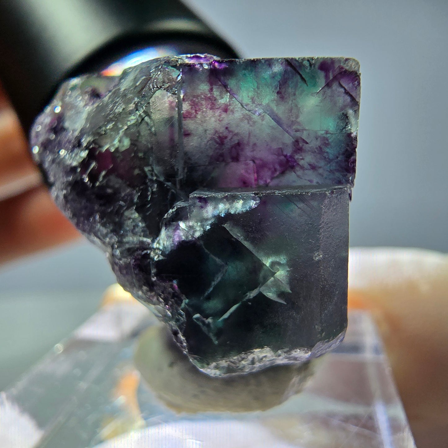Rare cube de fluorite fantôme parqueté vert violet Okorusu Namibie 24*23*21mm