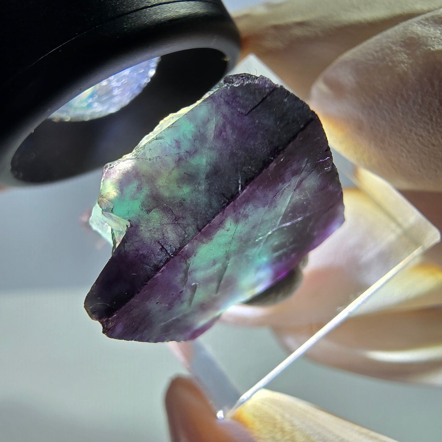 Rare cube de fluorite fantôme parqueté vert violet Okorusu Namibie 19*20*14mm