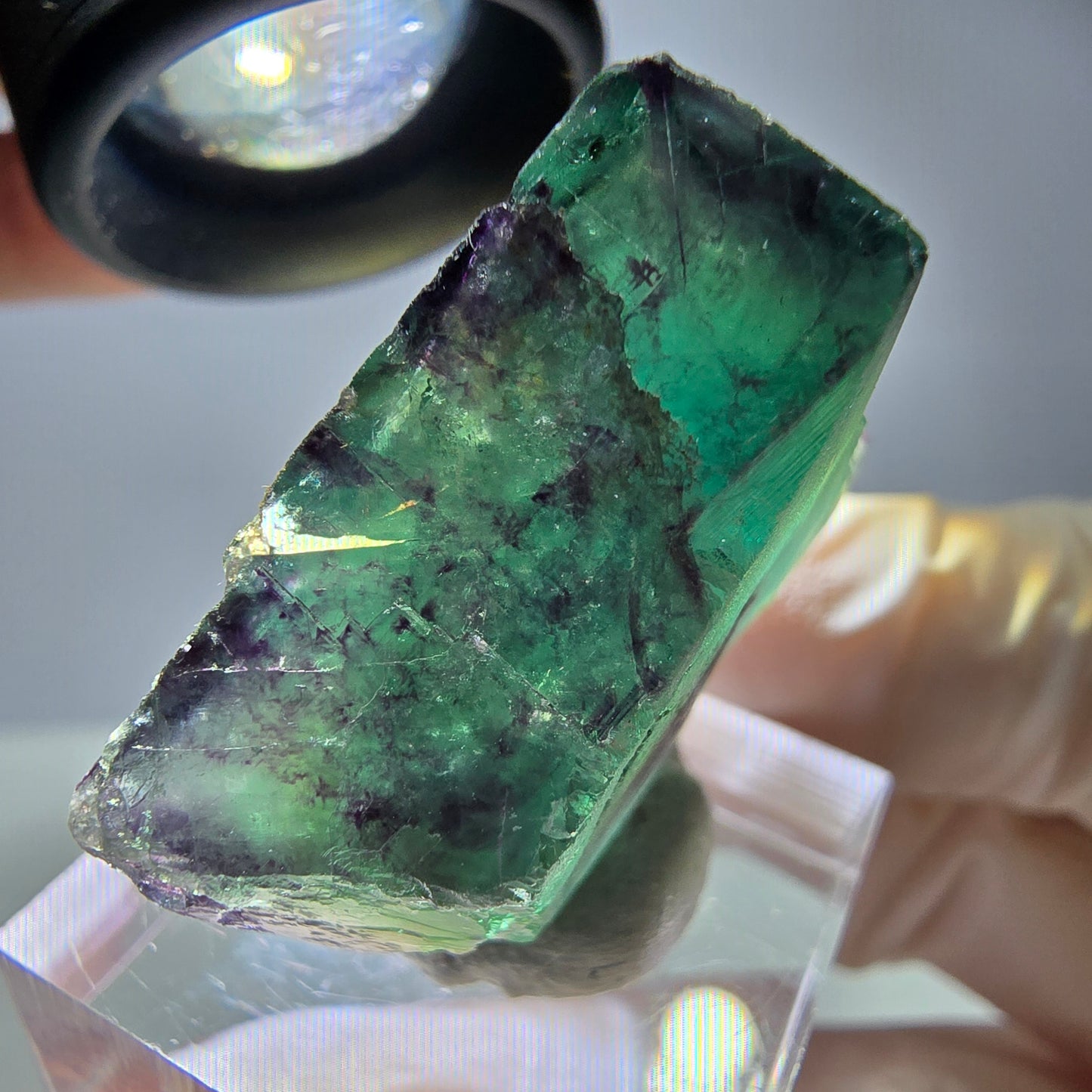 Rare cube de fluorite fantôme parqueté vert violet Okorusu Namibie 28*24*13mm