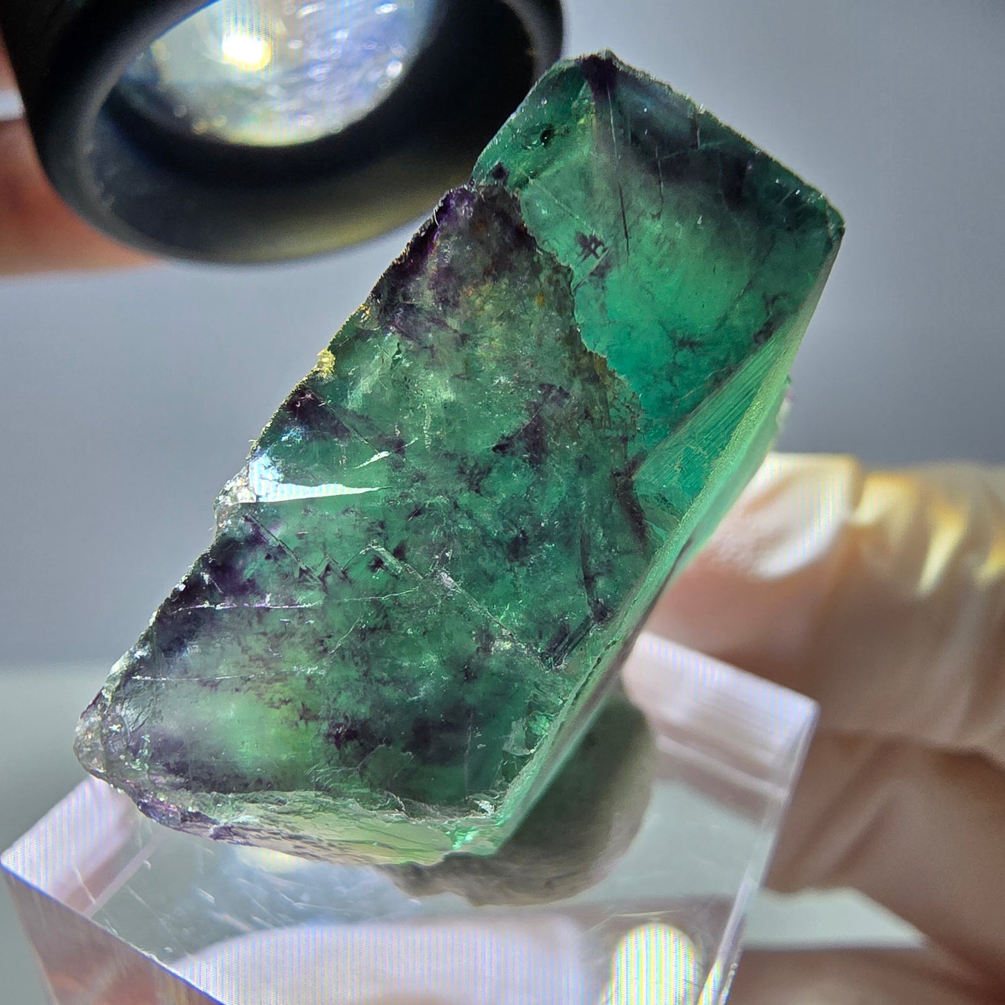 Rare cube de fluorite fantôme parqueté vert violet Okorusu Namibie 28*24*13mm