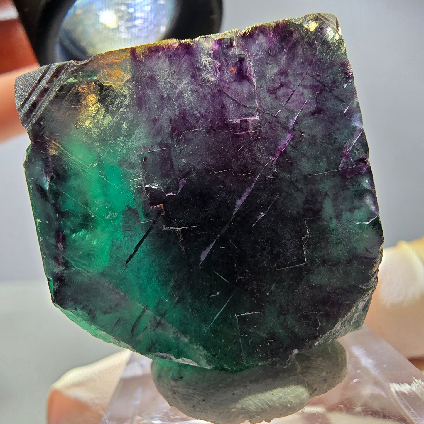 Rare cube de fluorite fantôme parqueté vert violet Okorusu Namibie 31*30*30mm