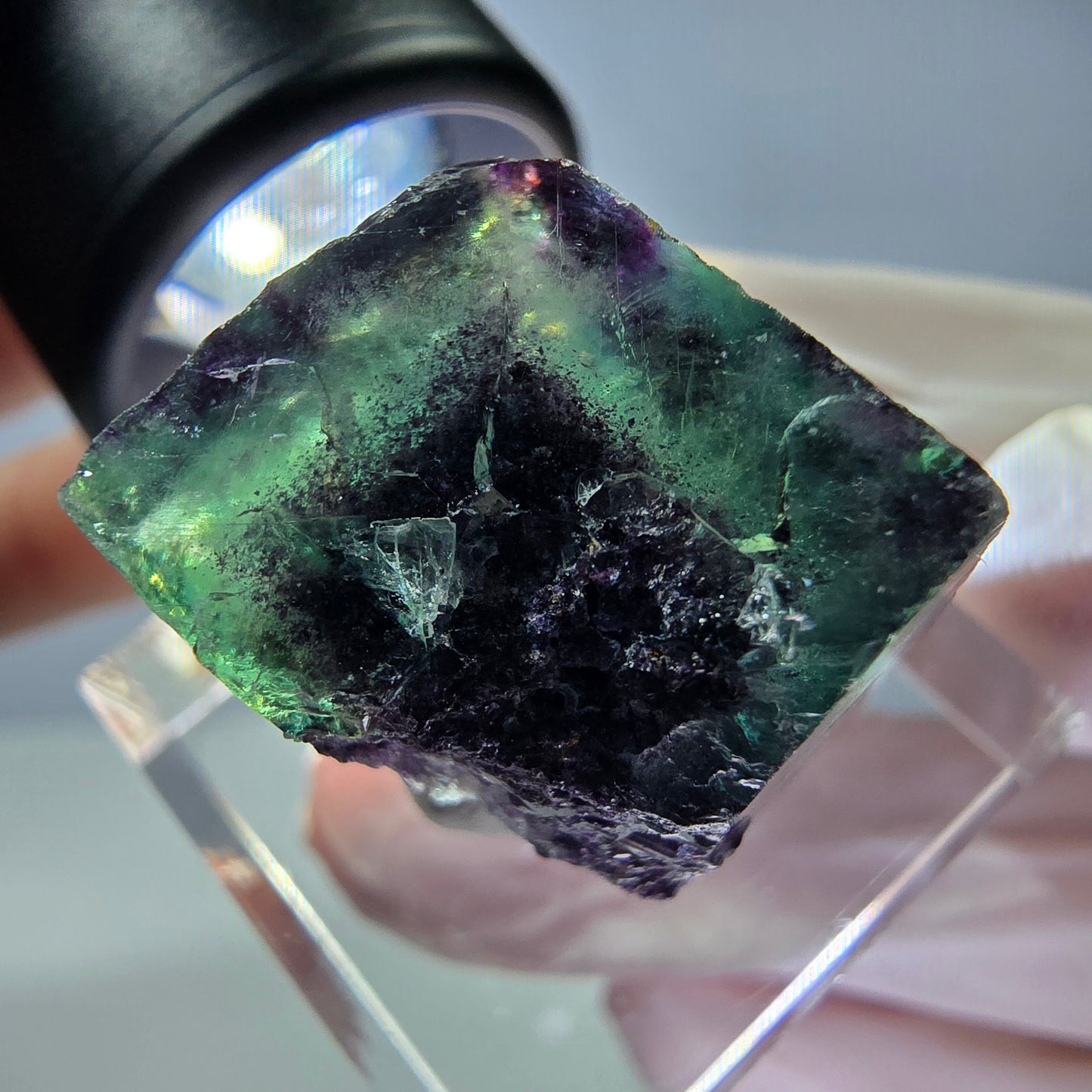Rare cube de fluorite fantôme parqueté vert violet Okorusu Namibie 18*18*16mm