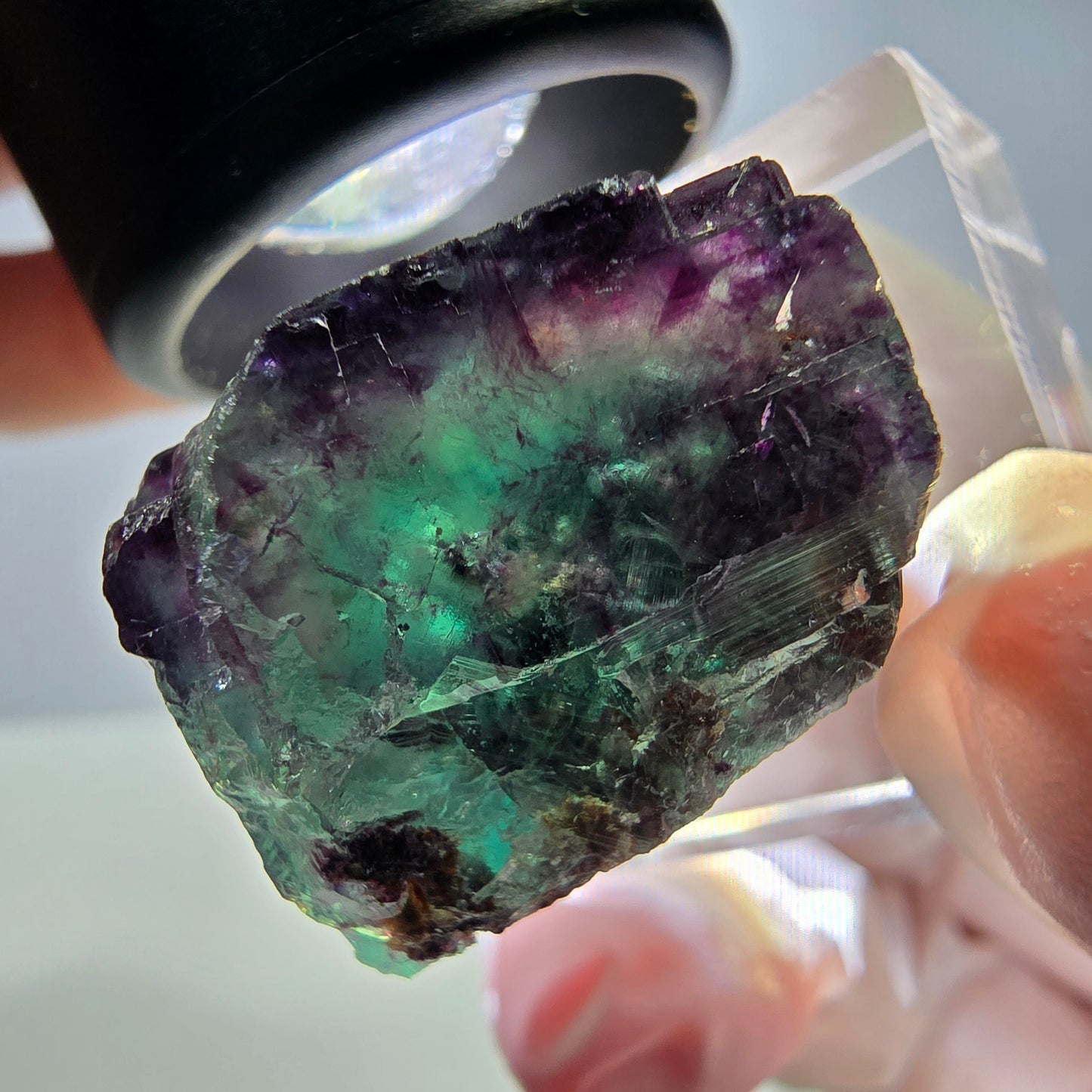 Rare cube de fluorite fantôme parqueté vert violet Okorusu Namibie 24*21*18mm