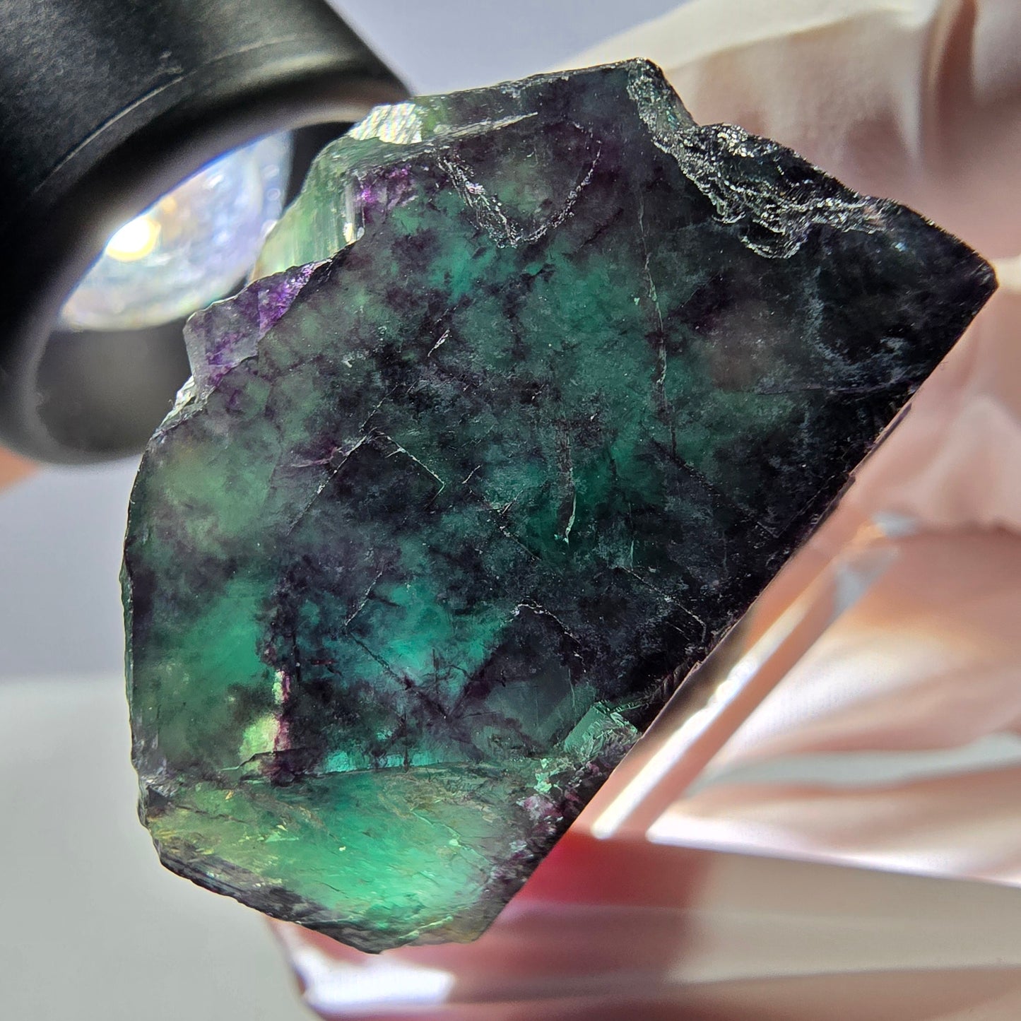 Rare cube de fluorite fantôme parqueté vert violet Okorusu Namibie 31*30*25mm