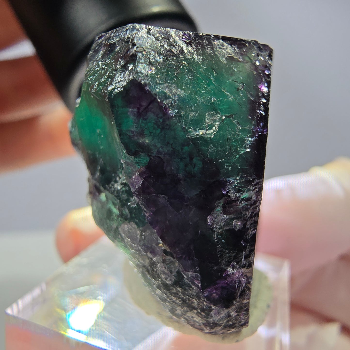 Rare cube de fluorite fantôme parqueté vert violet Okorusu Namibie 31*30*25mm