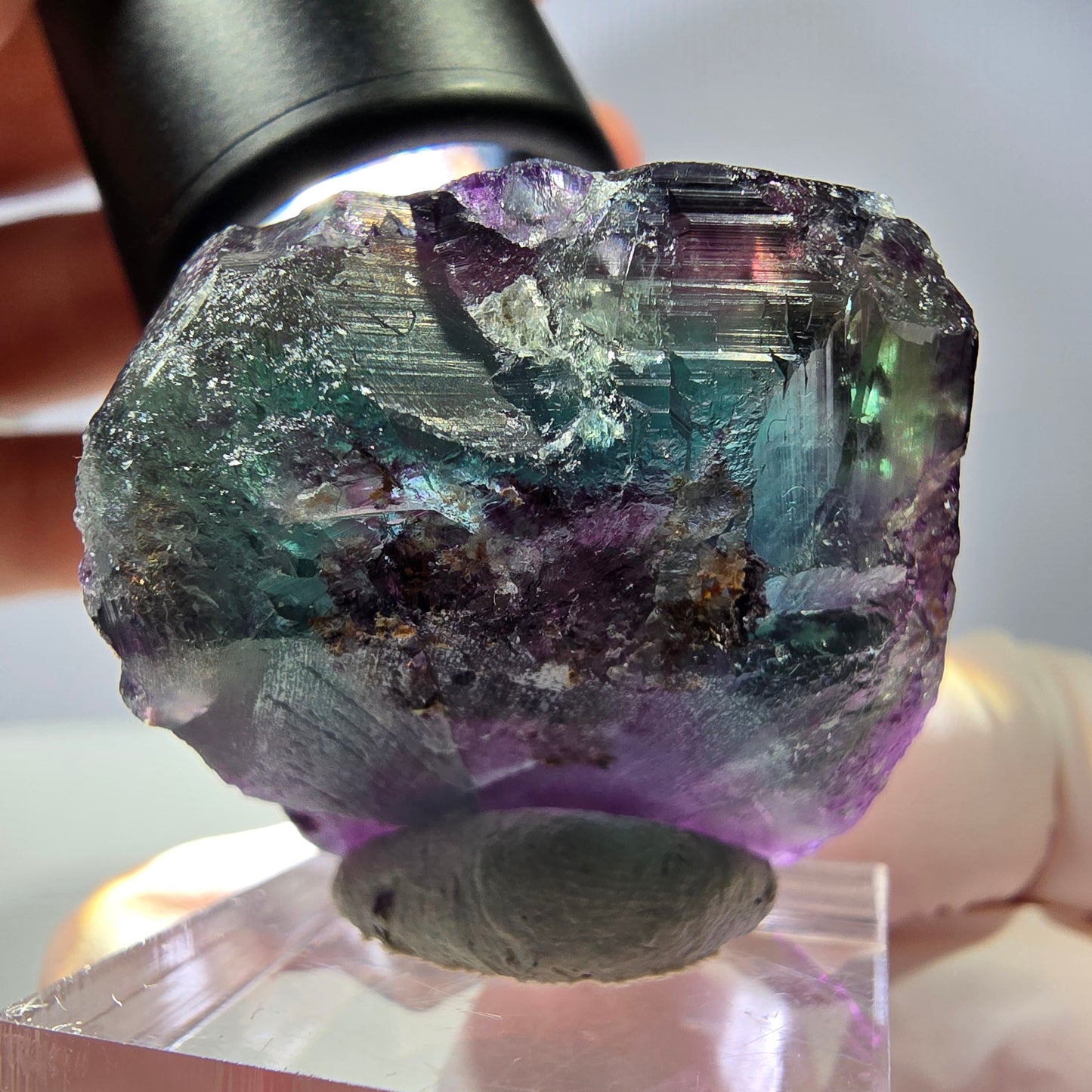 Rare cube de fluorite fantôme parqueté vert violet Okorusu Namibie 31*30*25mm