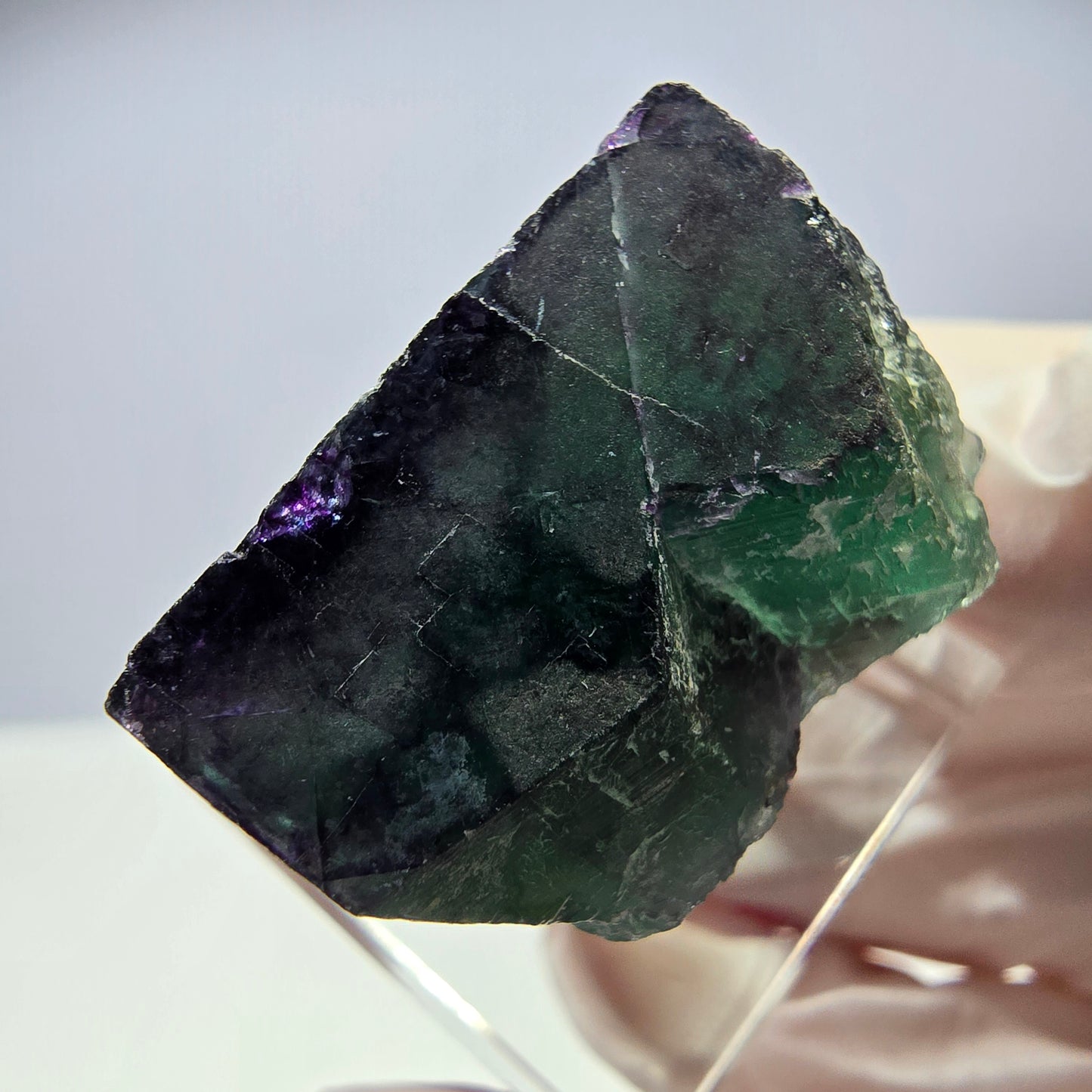 Rare cube de fluorite fantôme parqueté vert violet Okorusu Namibie 32*23*19mm