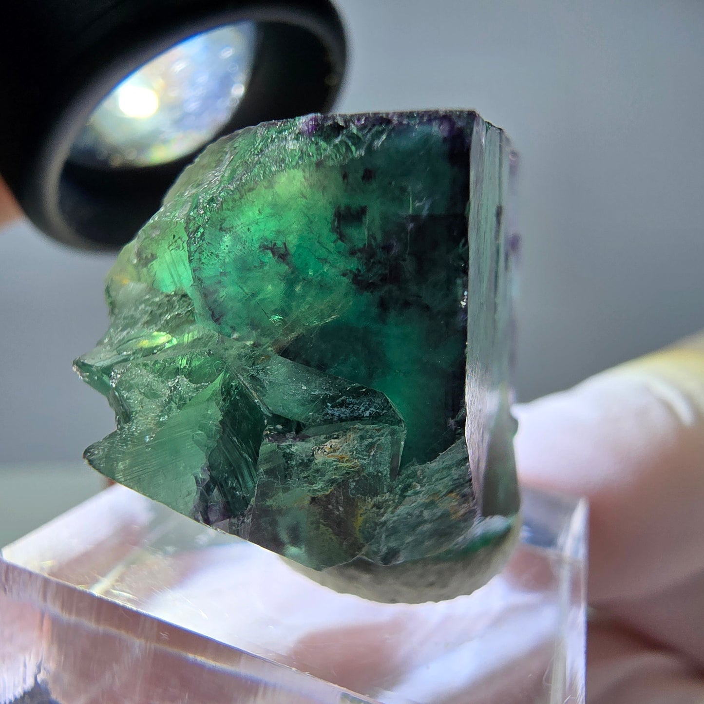 Rare cube de fluorite fantôme parqueté vert violet Okorusu Namibie 32*23*19mm