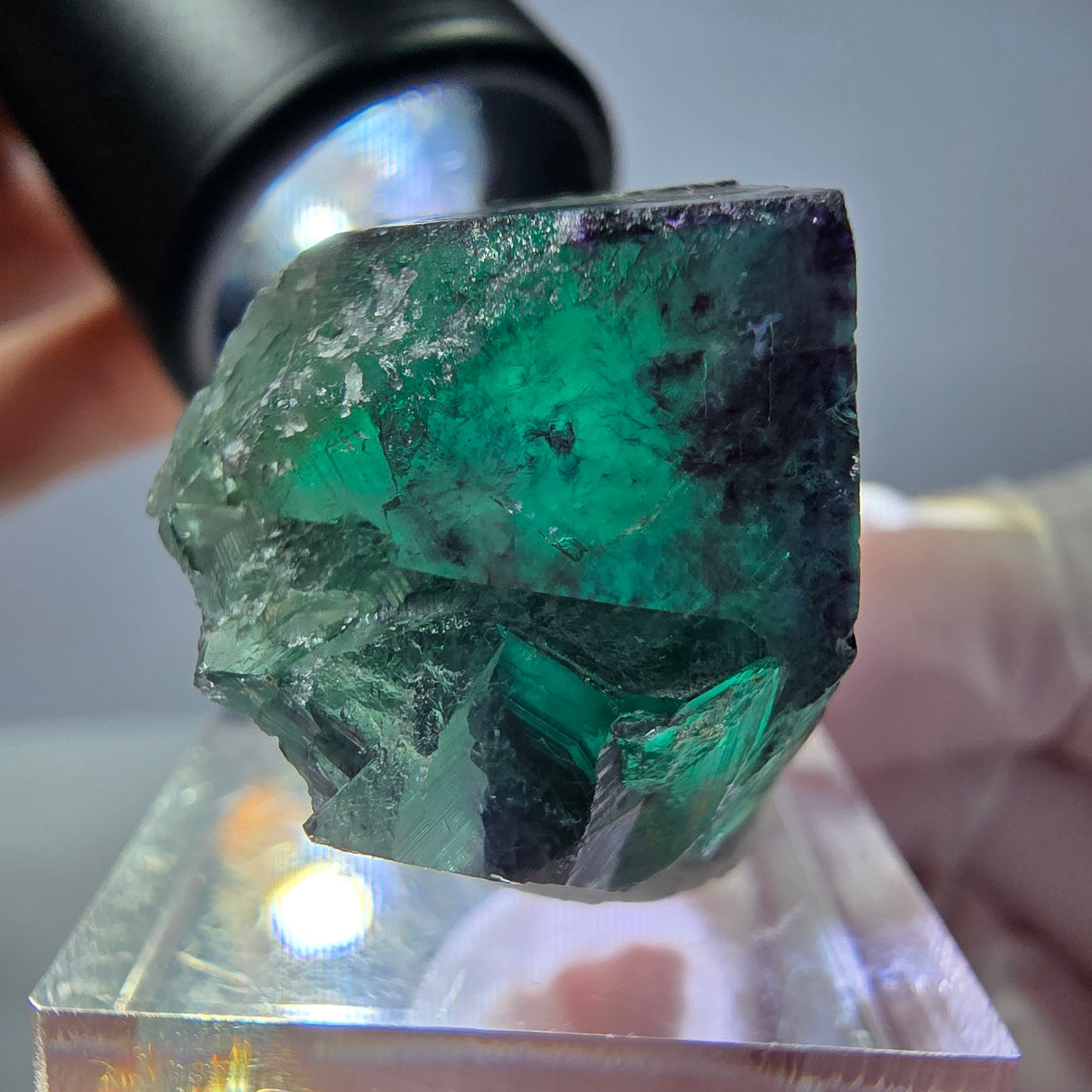 Rare cube de fluorite fantôme parqueté vert violet Okorusu Namibie 32*23*19mm