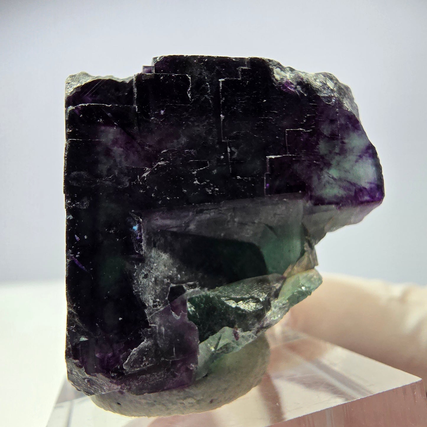 Rare cube de fluorite fantôme parqueté vert violet Okorusu Namibie 29*27*27mm