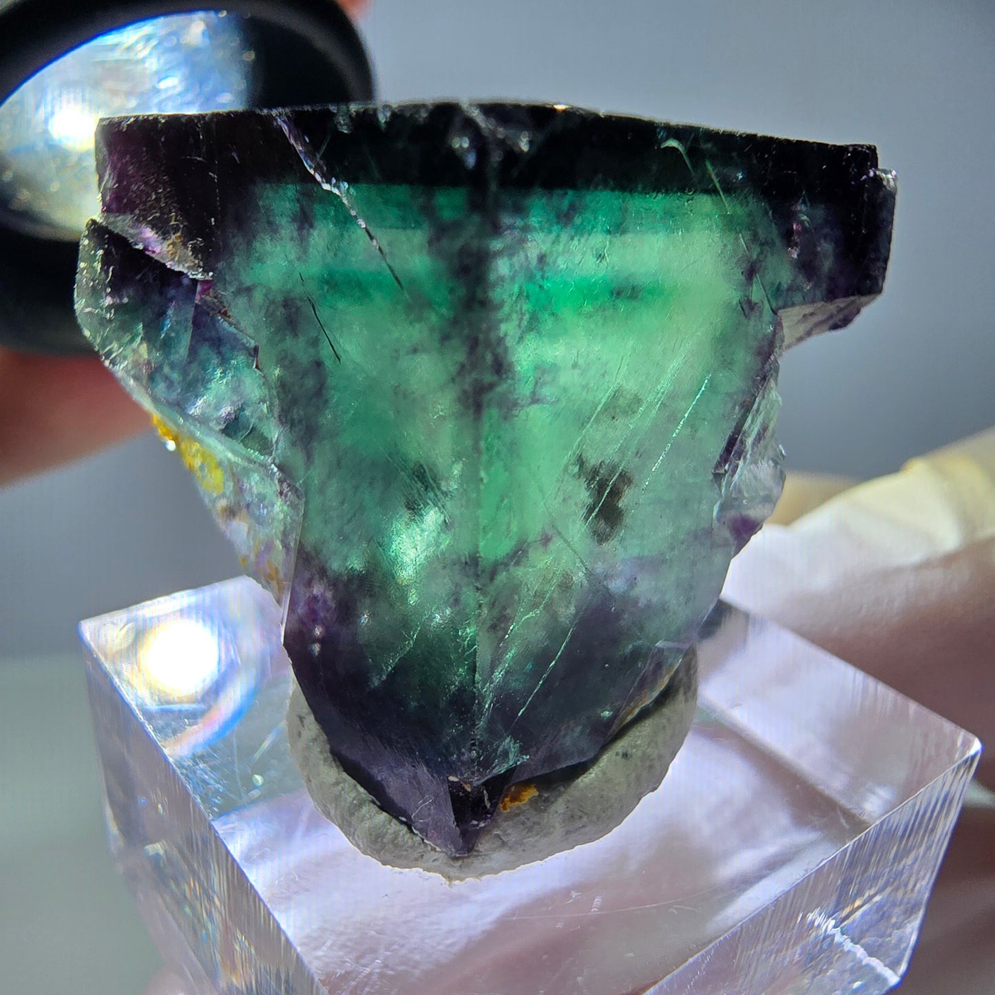 Rare cube de fluorite fantôme parqueté vert violet Okorusu Namibie 24*24*24mm