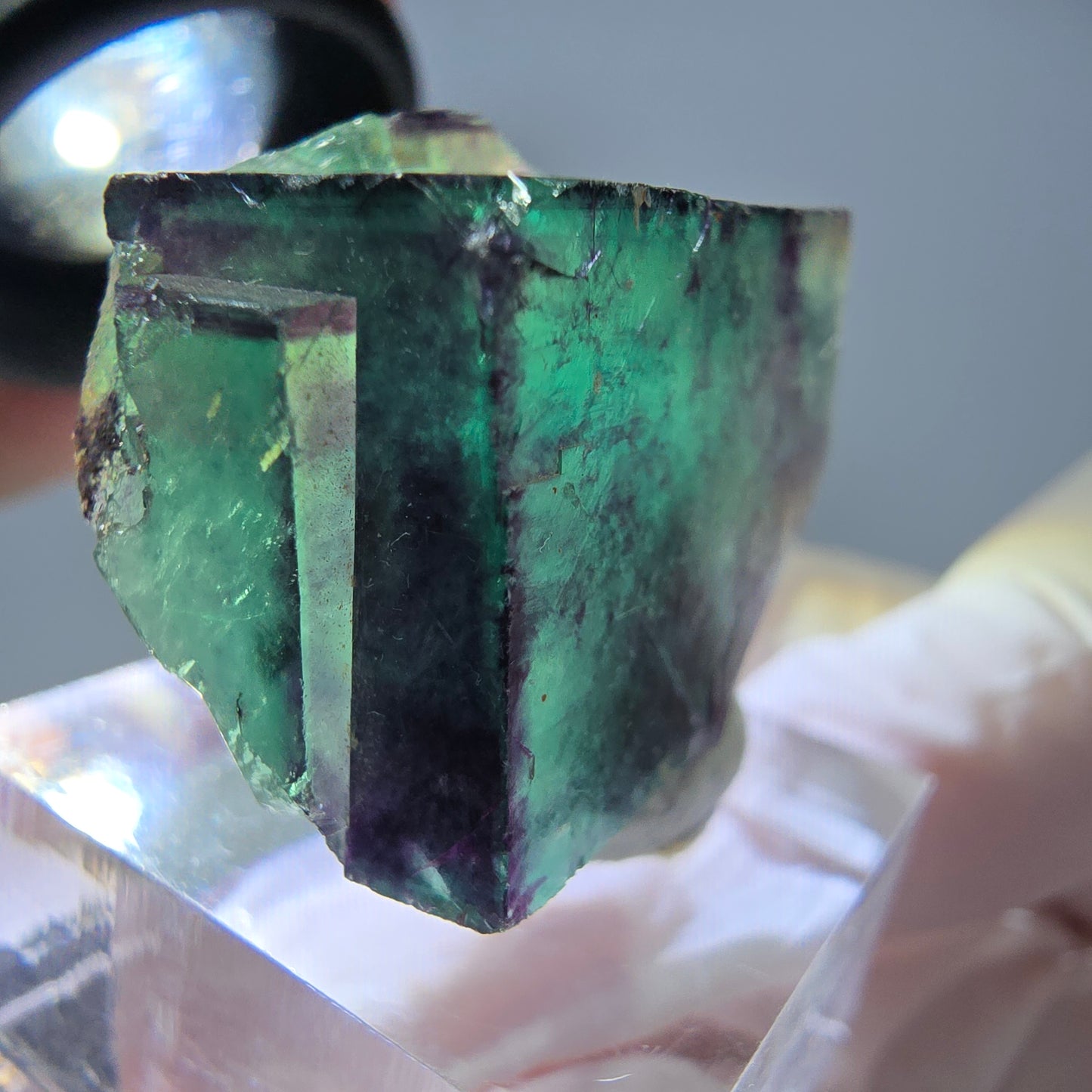 Rare cube de fluorite fantôme parqueté vert violet Okorusu Namibie 30*25*13mm