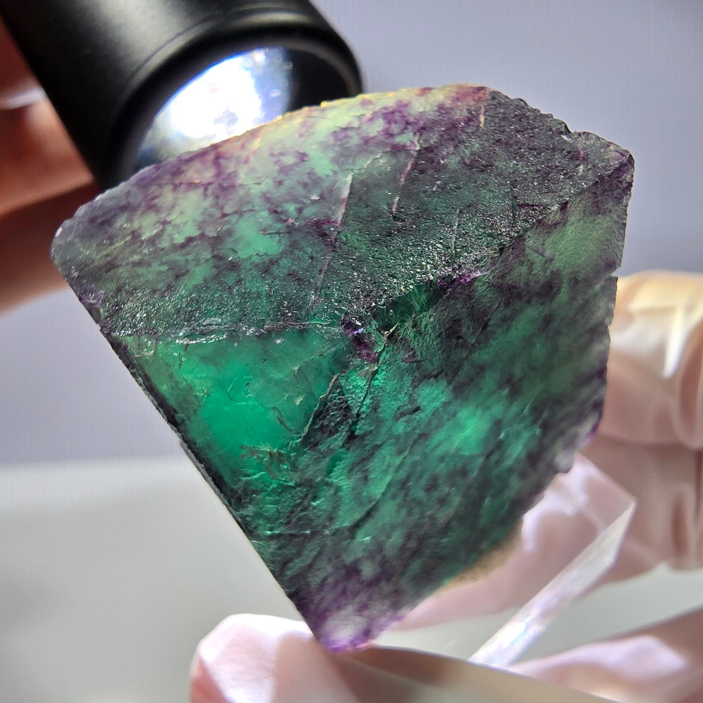 Rare cube de fluorite fantôme parqueté vert violet Okorusu Namibie 35*35*25mm