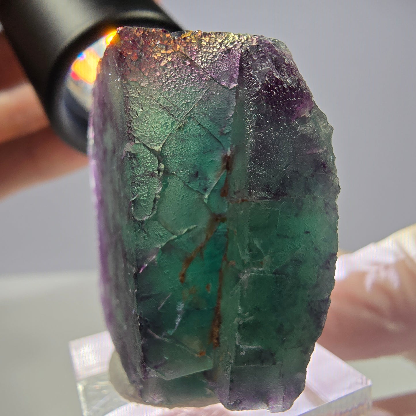 Rare cube de fluorite fantôme parqueté vert violet Okorusu Namibie 35*35*25mm