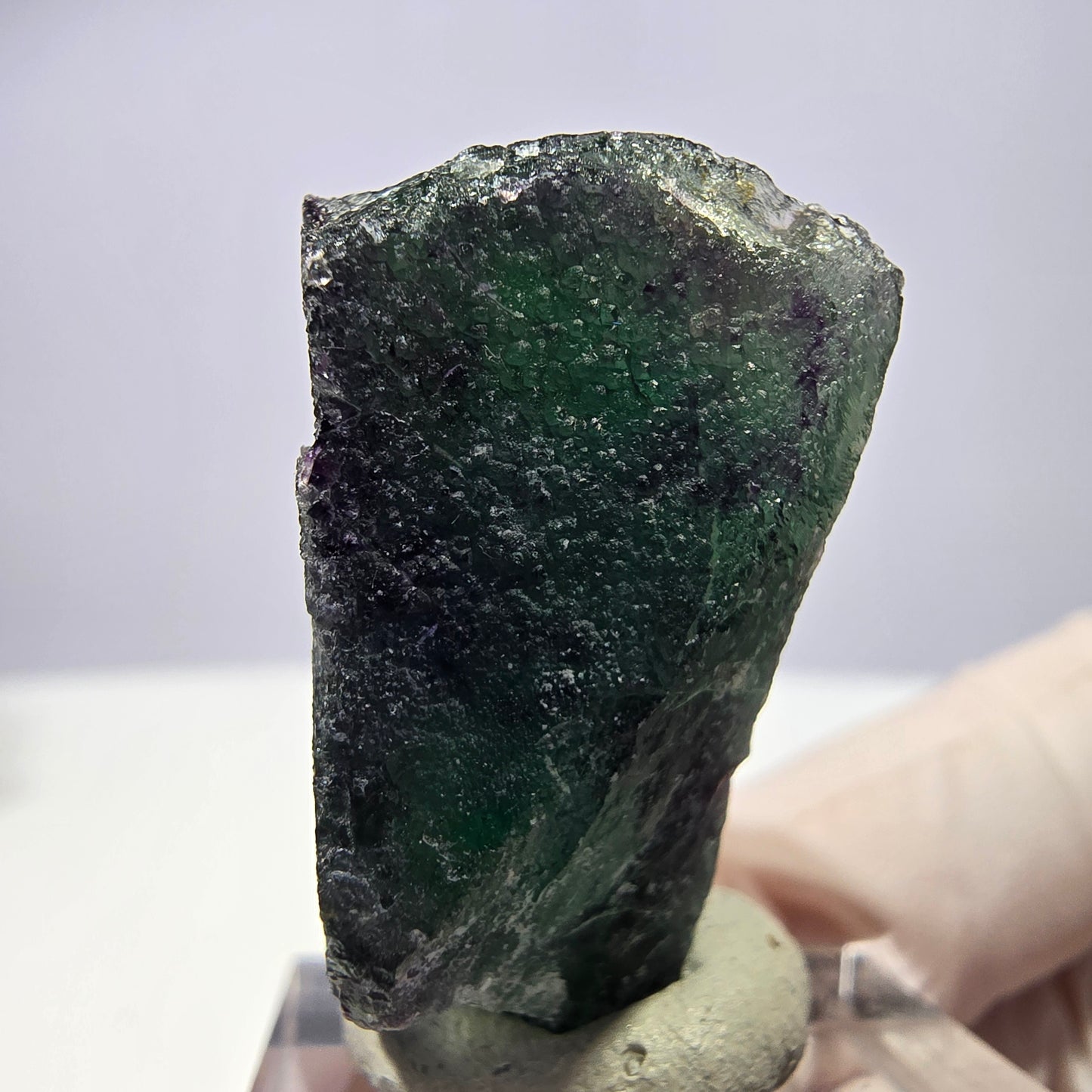 Rare cube de fluorite fantôme parqueté vert violet Okorusu Namibie 31*27*17mm
