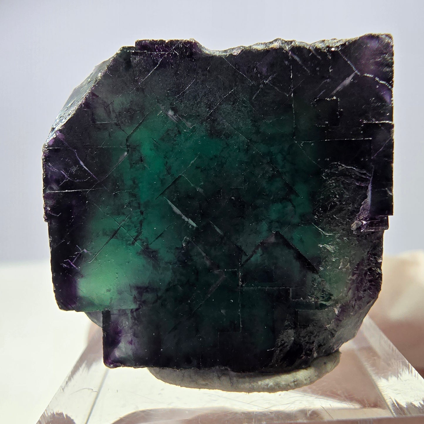 Rare cube de fluorite fantôme parqueté vert violet Okorusu Namibie 41*31*24mm