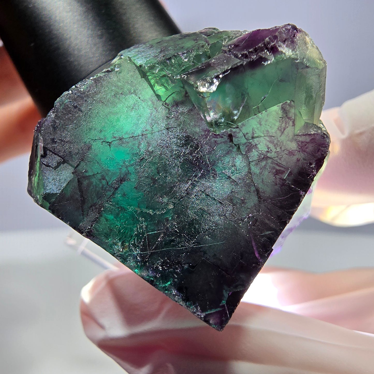 Rare cube de fluorite fantôme parqueté vert violet Okorusu Namibie 41*31*24mm