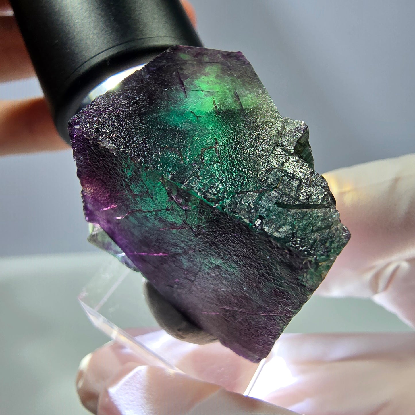 Rare cube de fluorite fantôme parqueté vert violet Okorusu Namibie 29*29*28mm