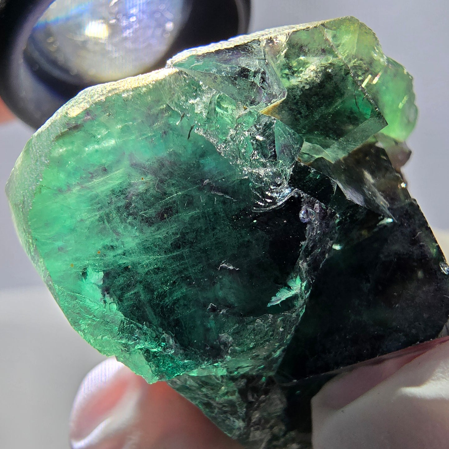 Spécimen de cube de fluorite fantôme parqueté vert violet Okorusu, Namibie 46*37*25 mm