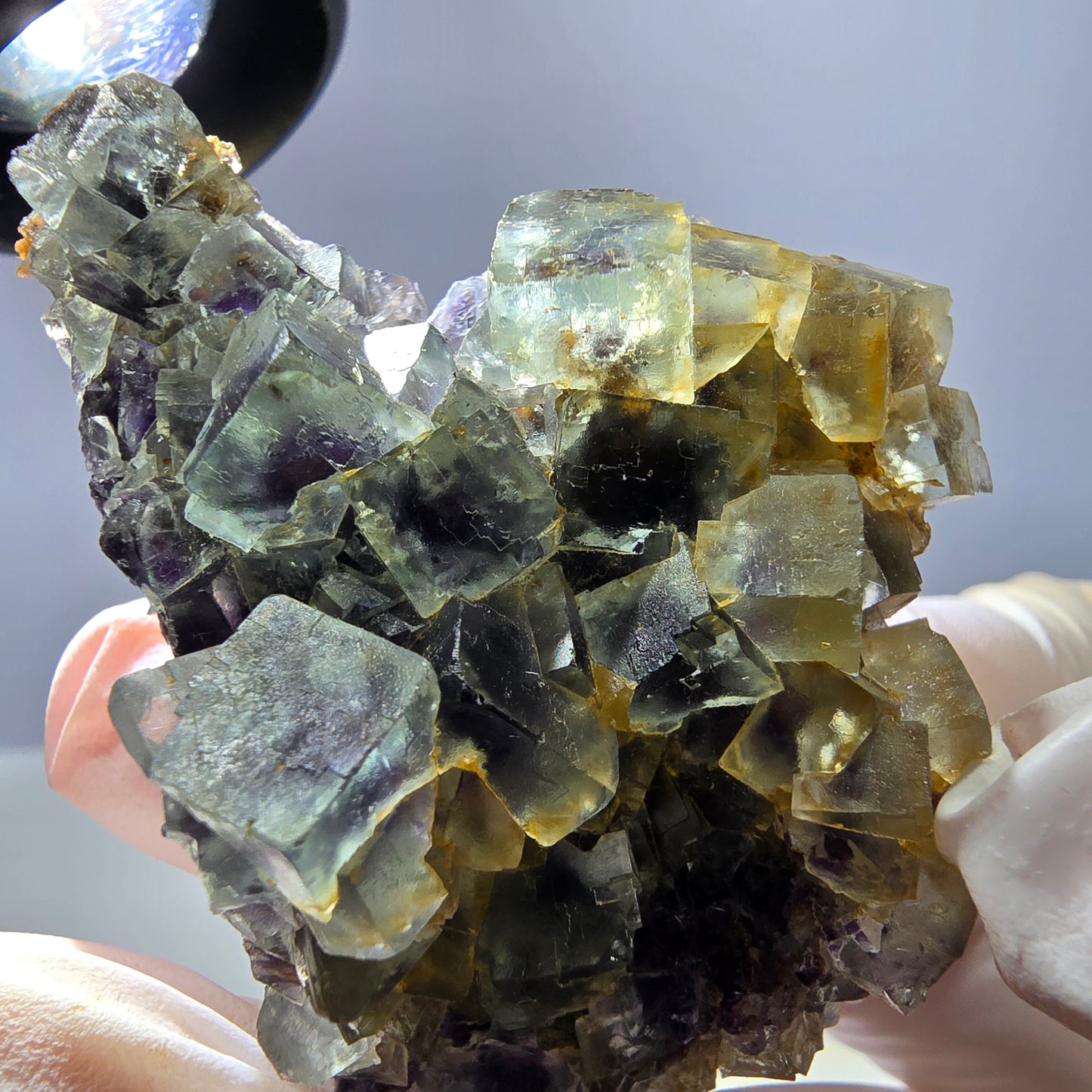 Spécimen de cube de fluorite fantôme transparente, vert-violet, Okorusu, Namibie, 54 x 41 x 22 mm