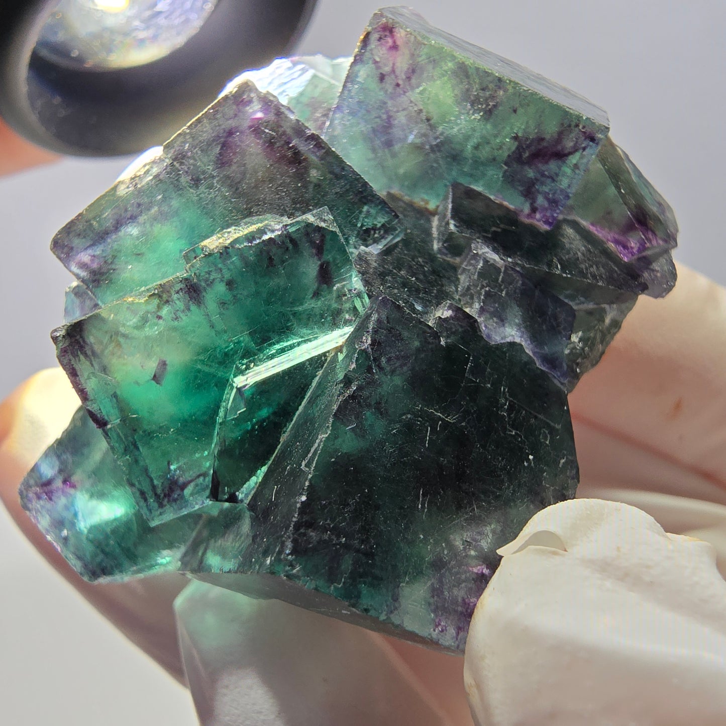 Spécimen de cube de fluorite fantôme parqueté vert violet Okorusu, Namibie 45*40*24 mm