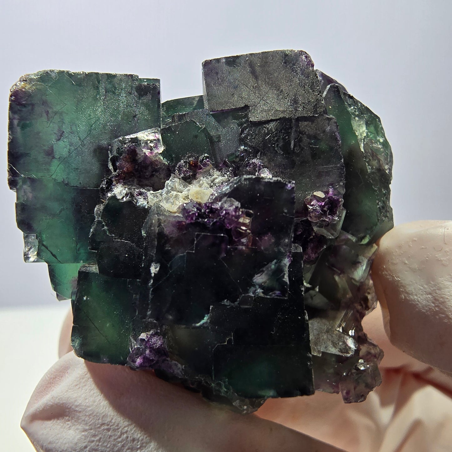 Spécimen de cube de fluorite fantôme parqueté vert violet Okorusu, Namibie 45*42*35 mm