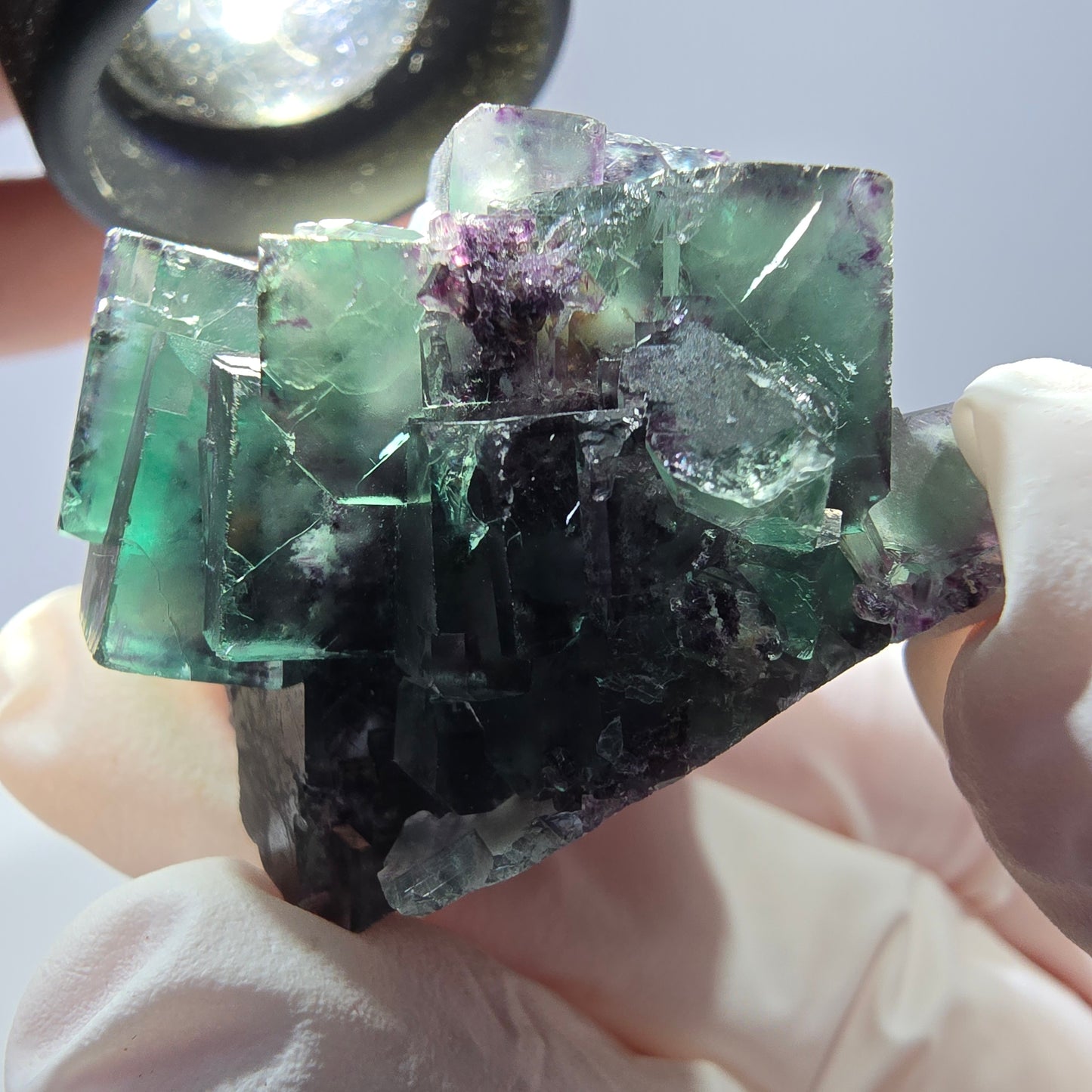 Spécimen de cube de fluorite fantôme parqueté vert violet Okorusu, Namibie 45*42*35 mm