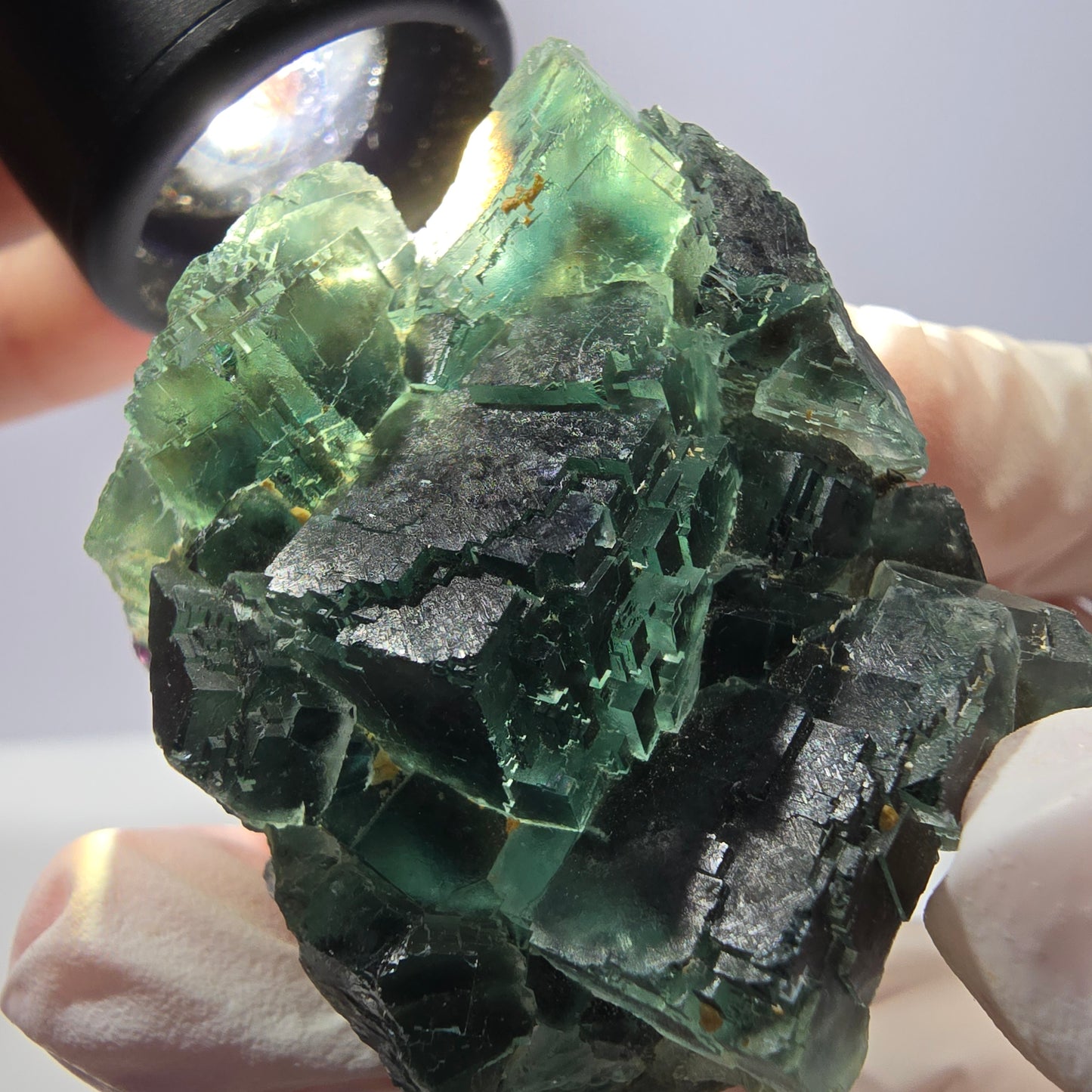 Spécimen de cube de fluorite fantôme parqueté vert violet Okorusu, Namibie 42*38*24mm