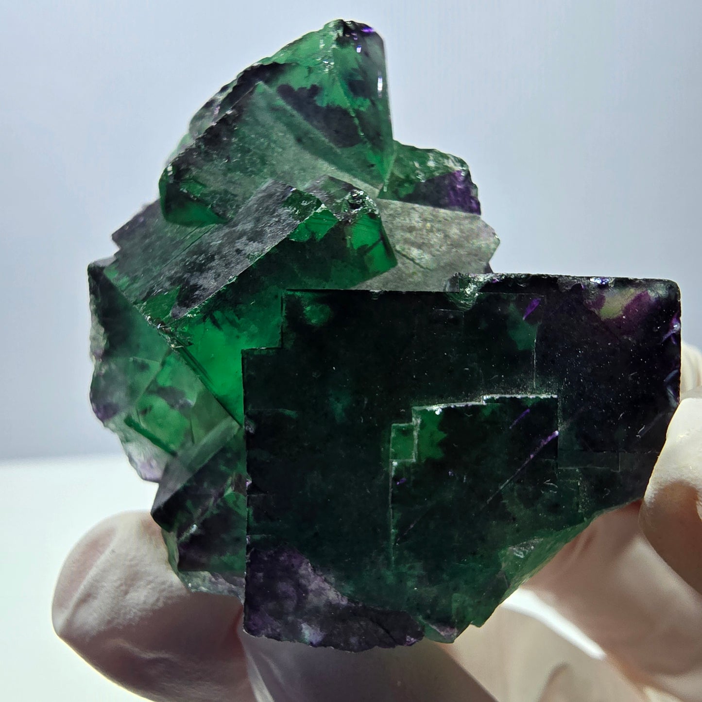 Spécimen de cube de fluorite fantôme parqueté vert violet Okorusu, Namibie 49*41*29mm