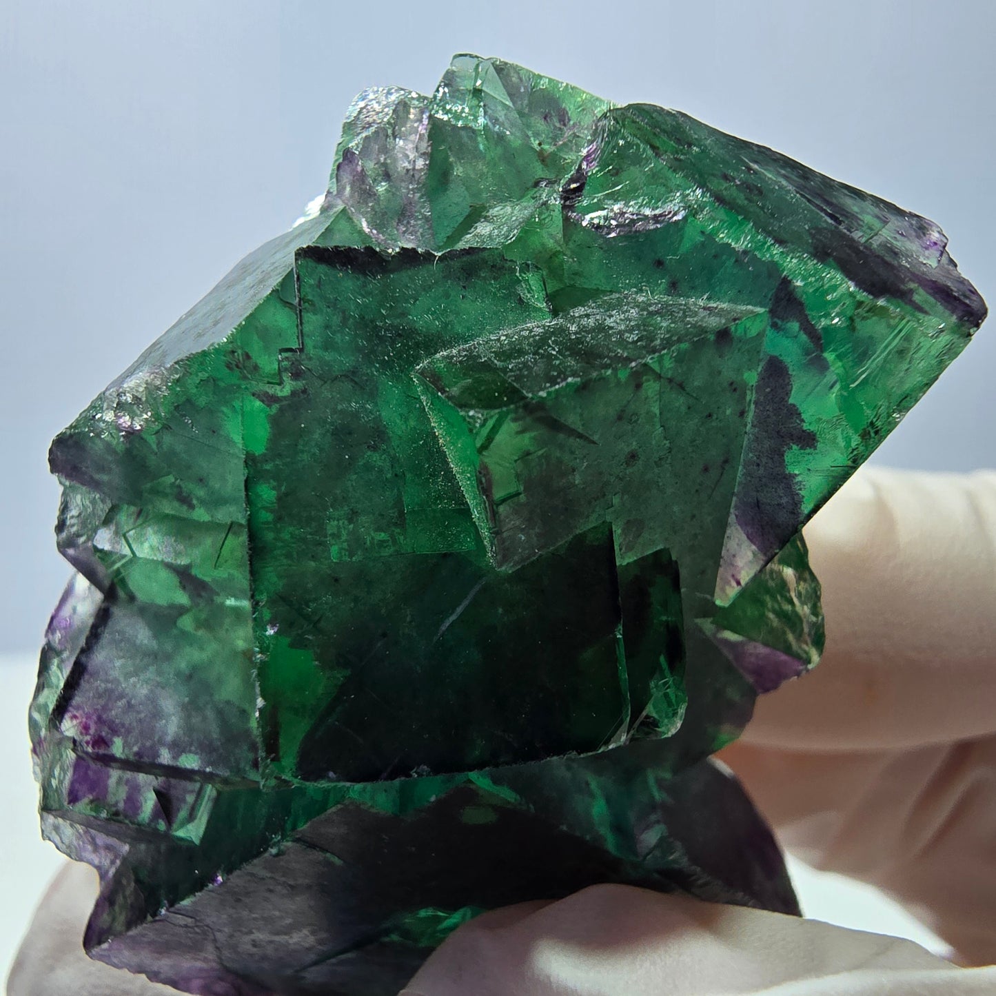 Spécimen de cube de fluorite fantôme parqueté vert violet Okorusu, Namibie 49*41*29mm
