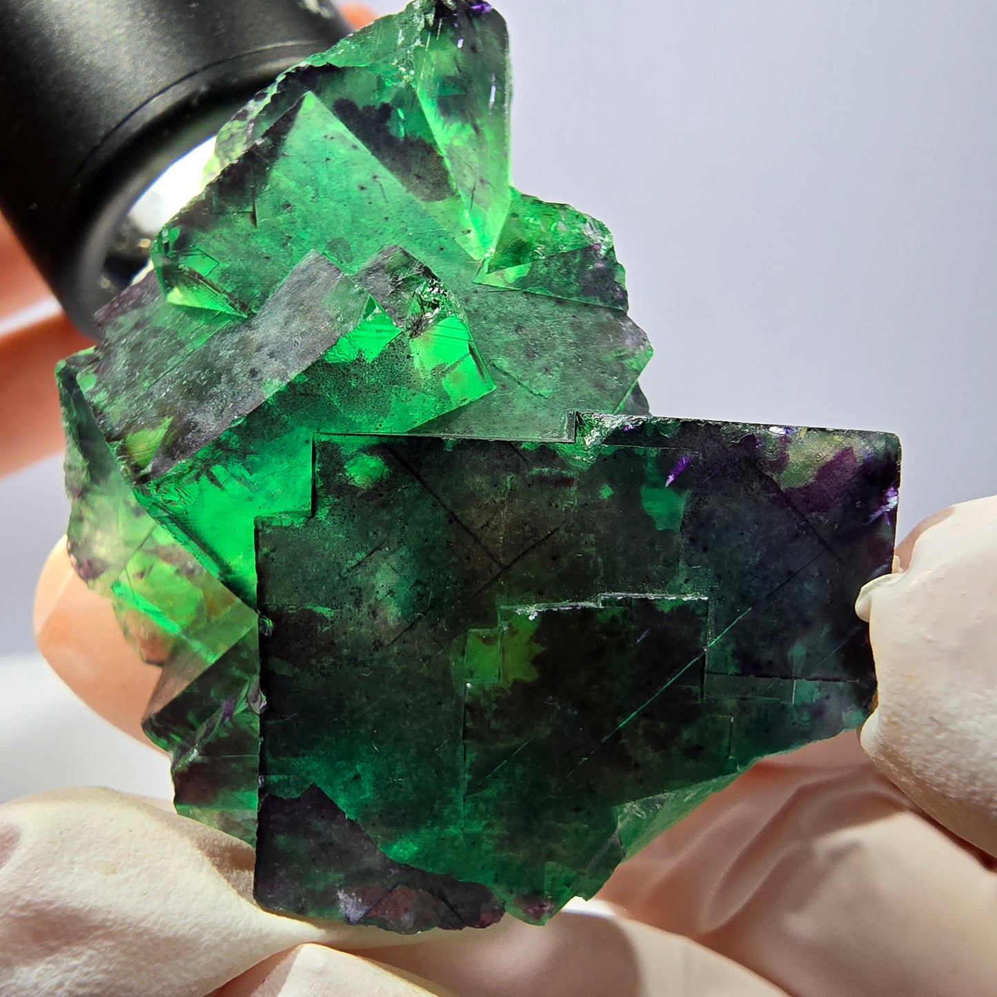 Spécimen de cube de fluorite fantôme parqueté vert violet Okorusu, Namibie 49*41*29mm