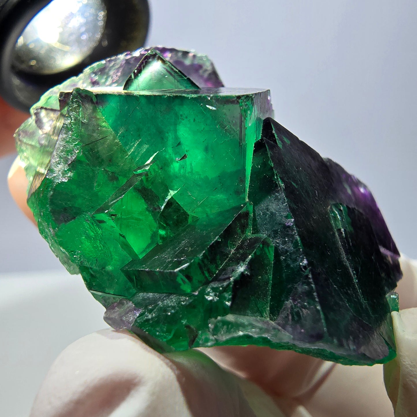 Spécimen de cube de fluorite fantôme parqueté vert violet Okorusu, Namibie 49*41*29mm