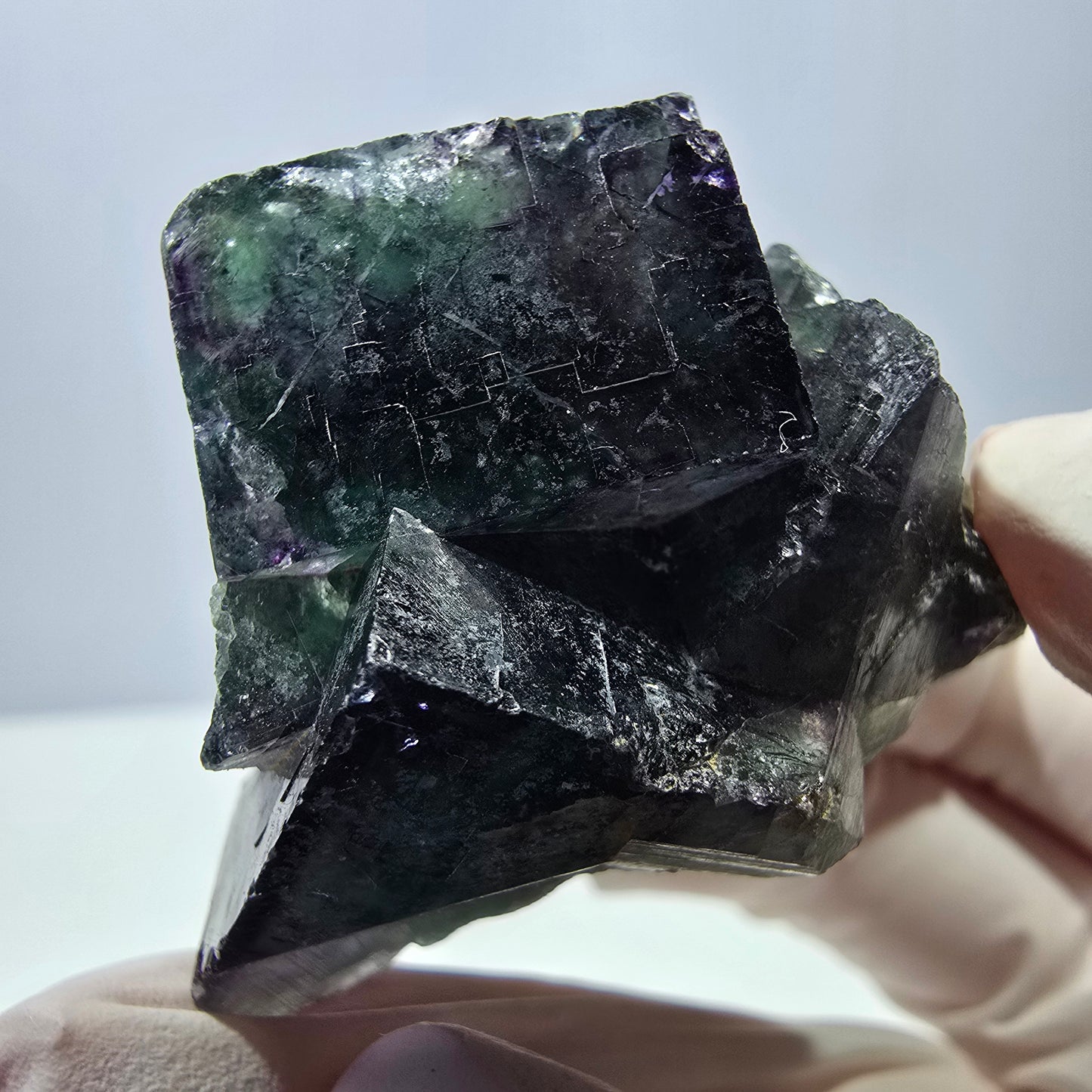 Spécimen de cube de fluorite fantôme parqueté vert violet Okorusu, Namibie 45*40*33mm