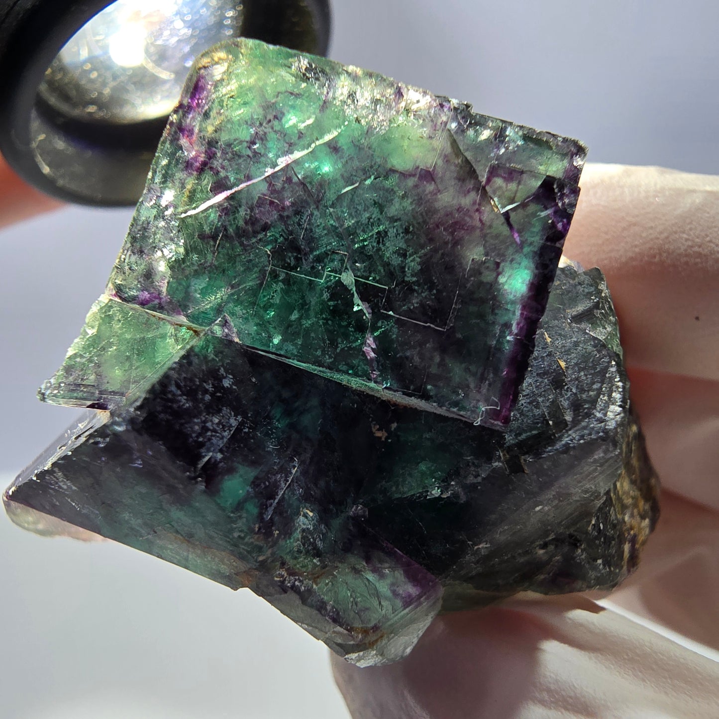 Spécimen de cube de fluorite fantôme parqueté vert violet Okorusu, Namibie 45*40*33mm