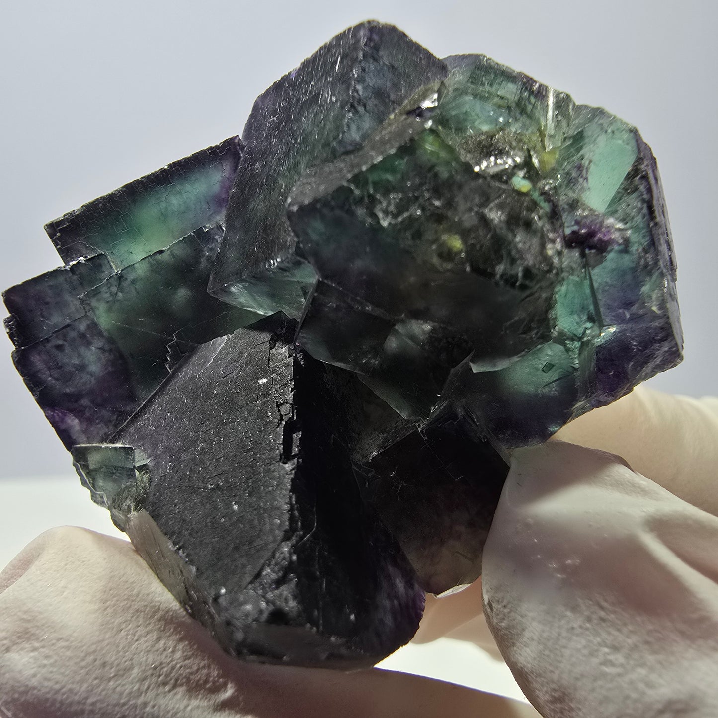 Spécimen de cube de fluorite fantôme parqueté vert violet Okorusu, Namibie 47*36*22mm