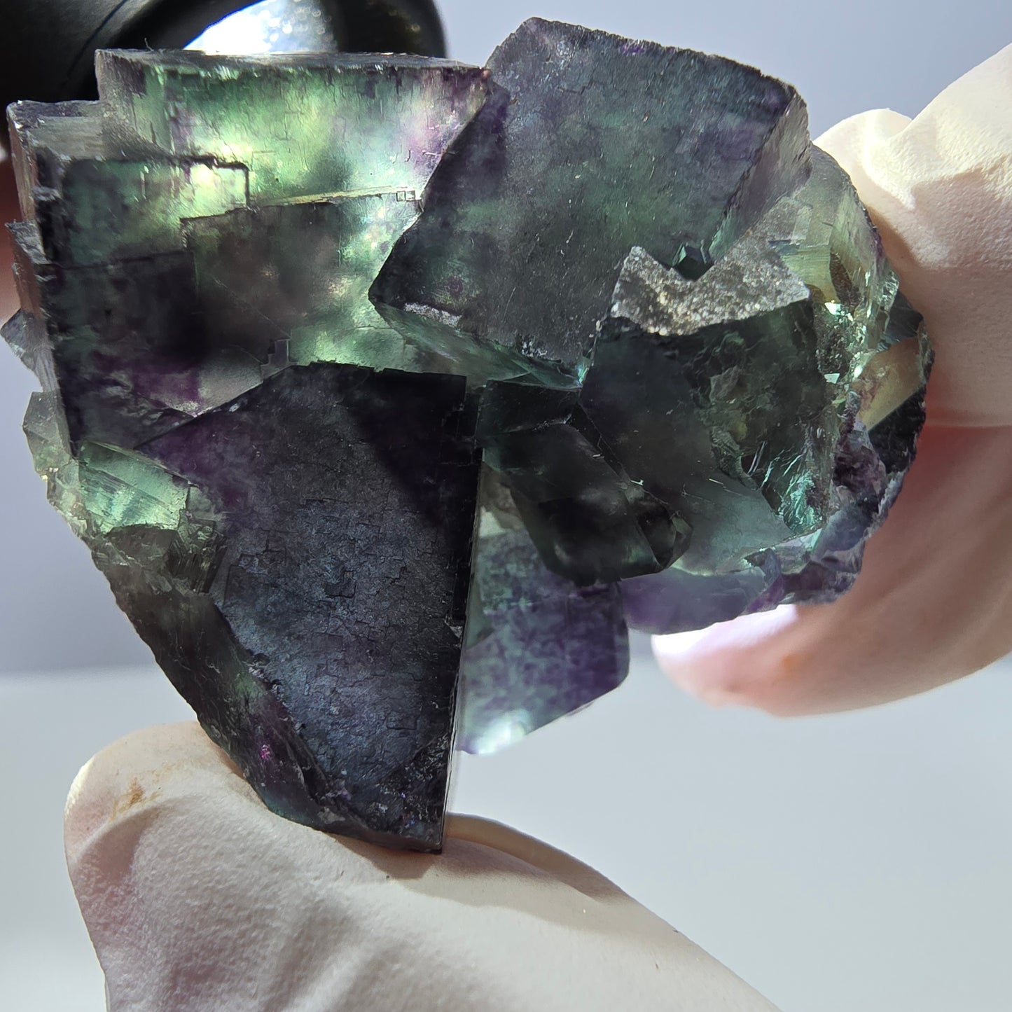 Spécimen de cube de fluorite fantôme parqueté vert violet Okorusu, Namibie 47*36*22mm