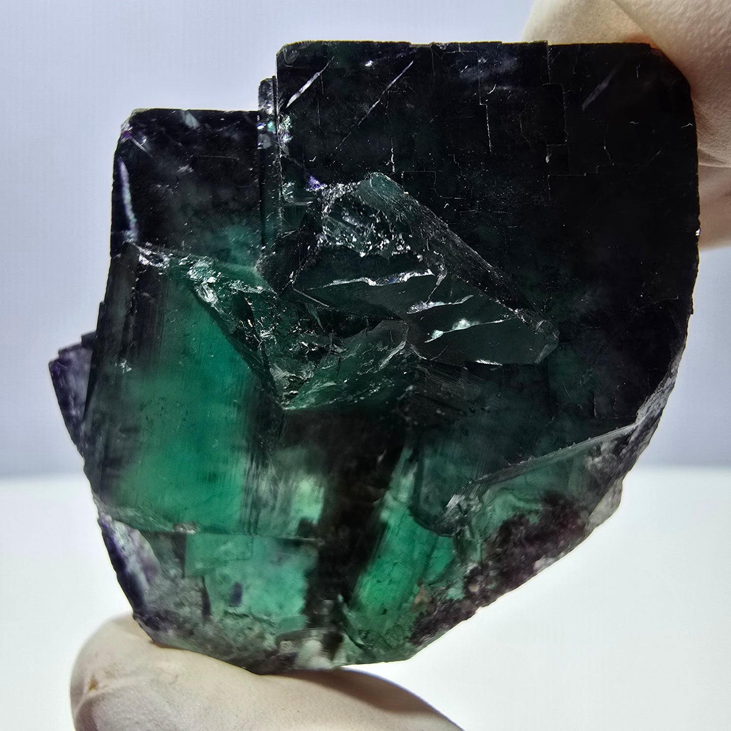 Spécimen de cube de fluorite fantôme parqueté vert violet Okorusu, Namibie 53*43*28mm