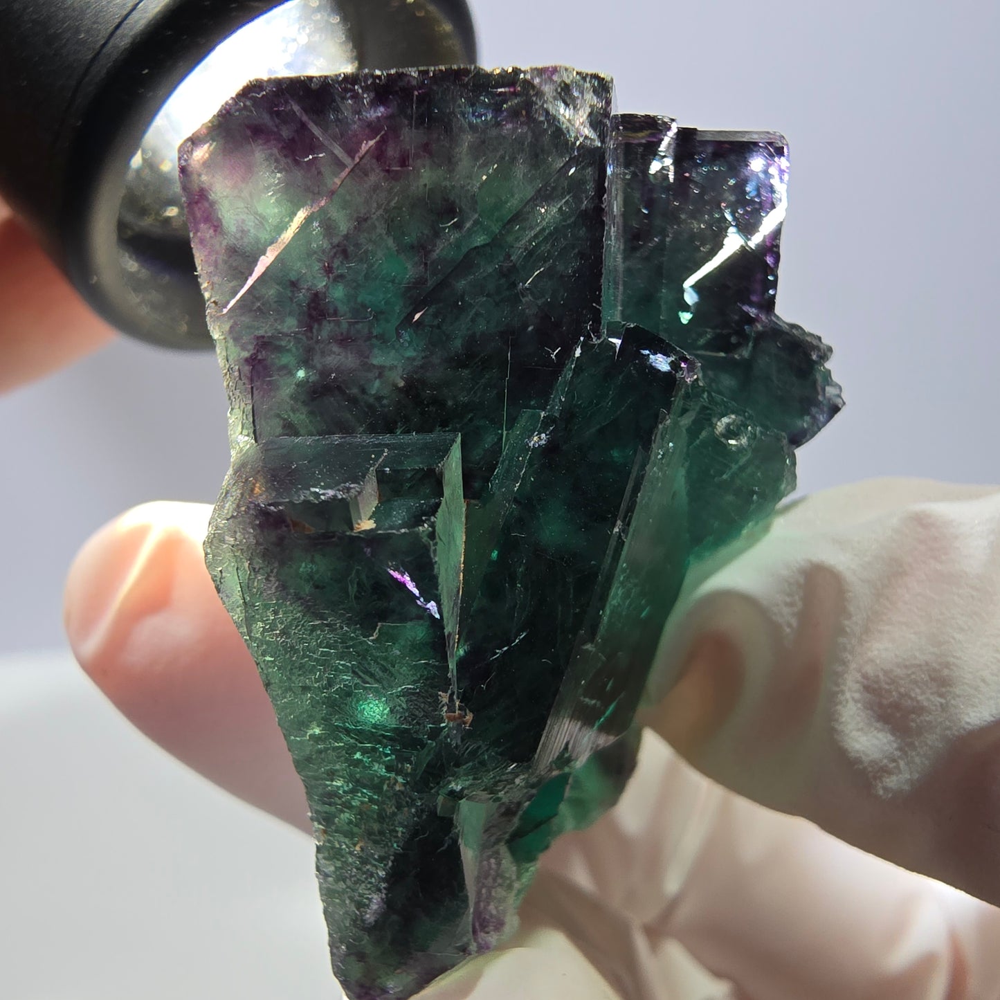 Spécimen de cube de fluorite fantôme parqueté vert violet Okorusu, Namibie 53*43*28mm