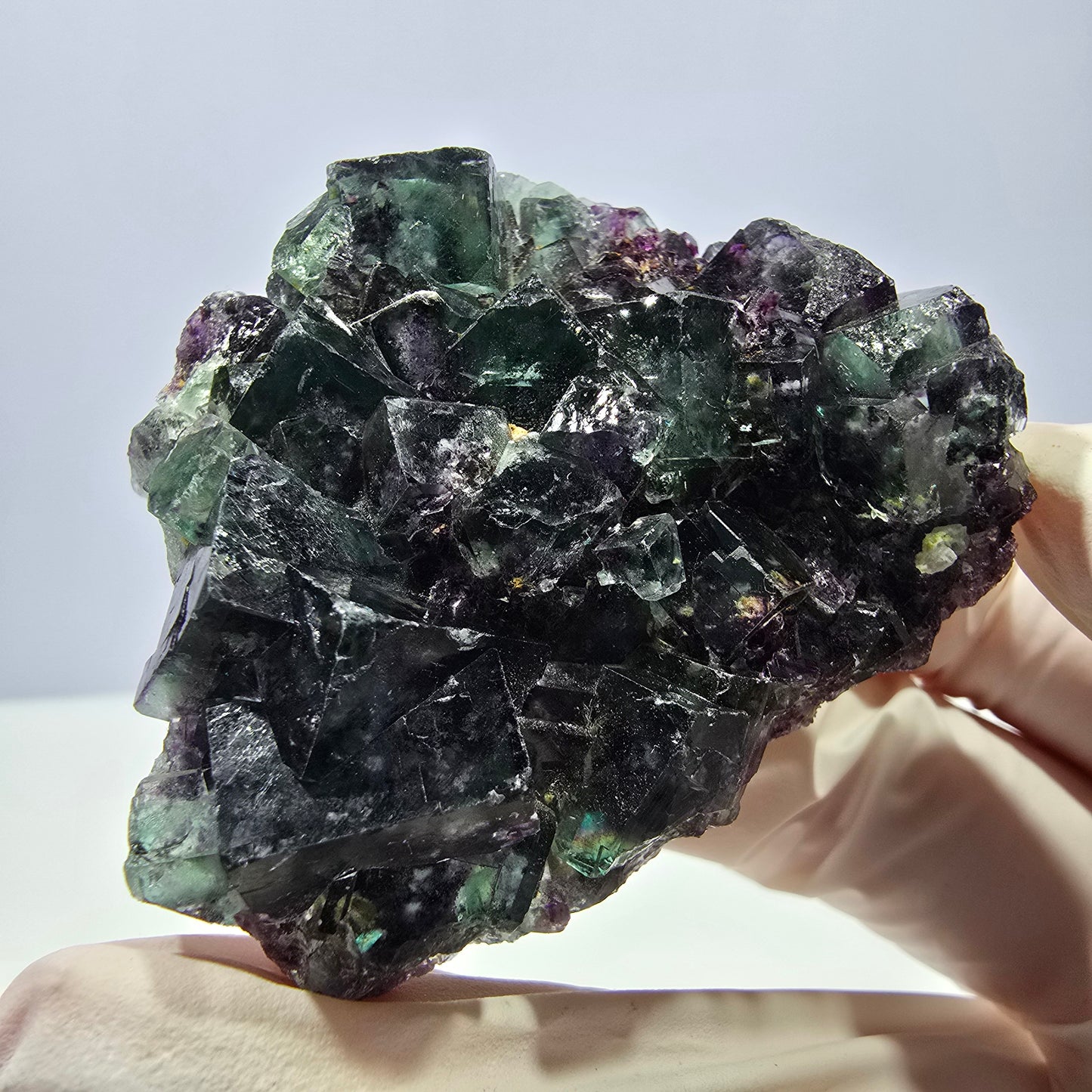 Spécimen de cube de fluorite fantôme parqueté vert violet Okorusu, Namibie 52*42*16 mm
