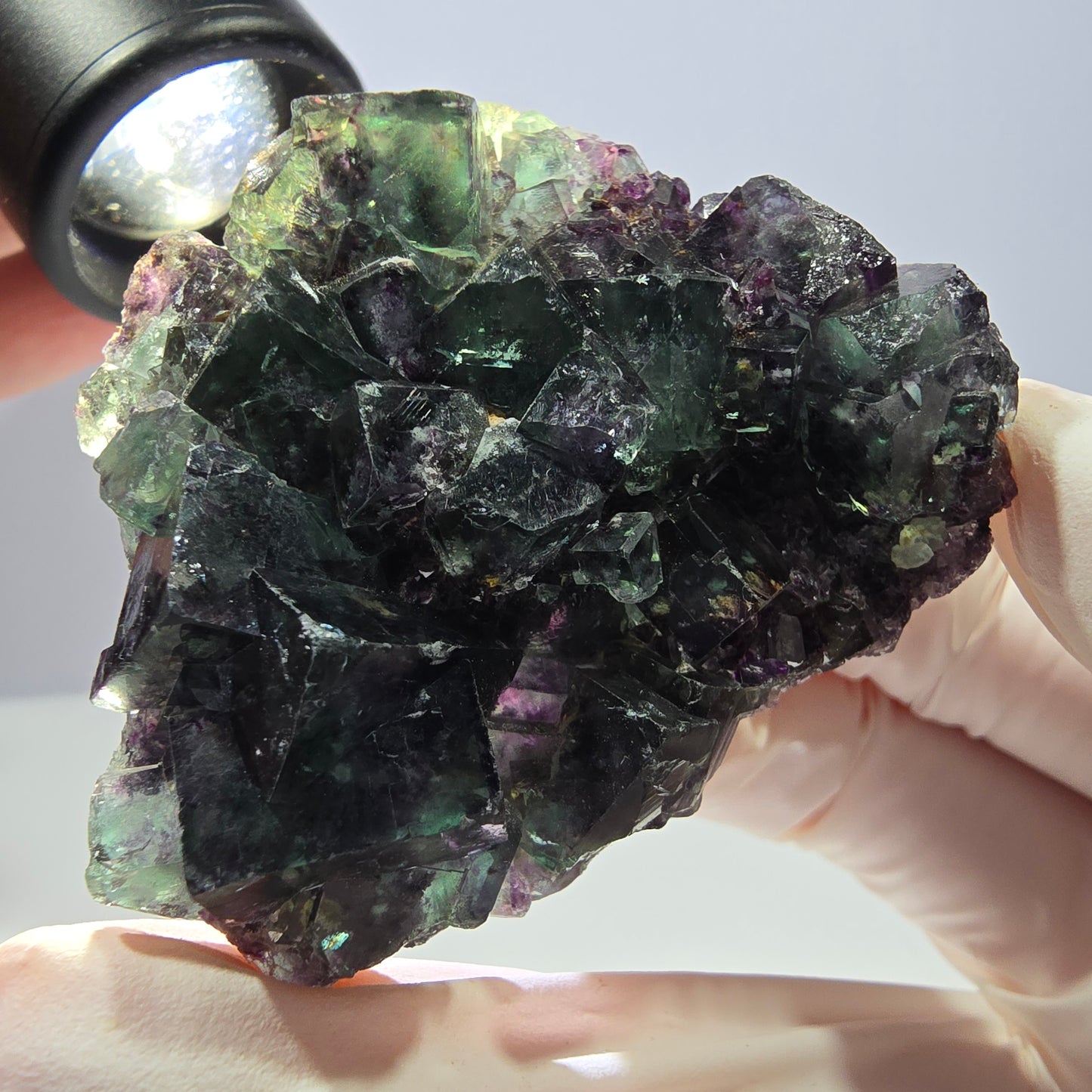 Spécimen de cube de fluorite fantôme parqueté vert violet Okorusu, Namibie 52*42*16 mm