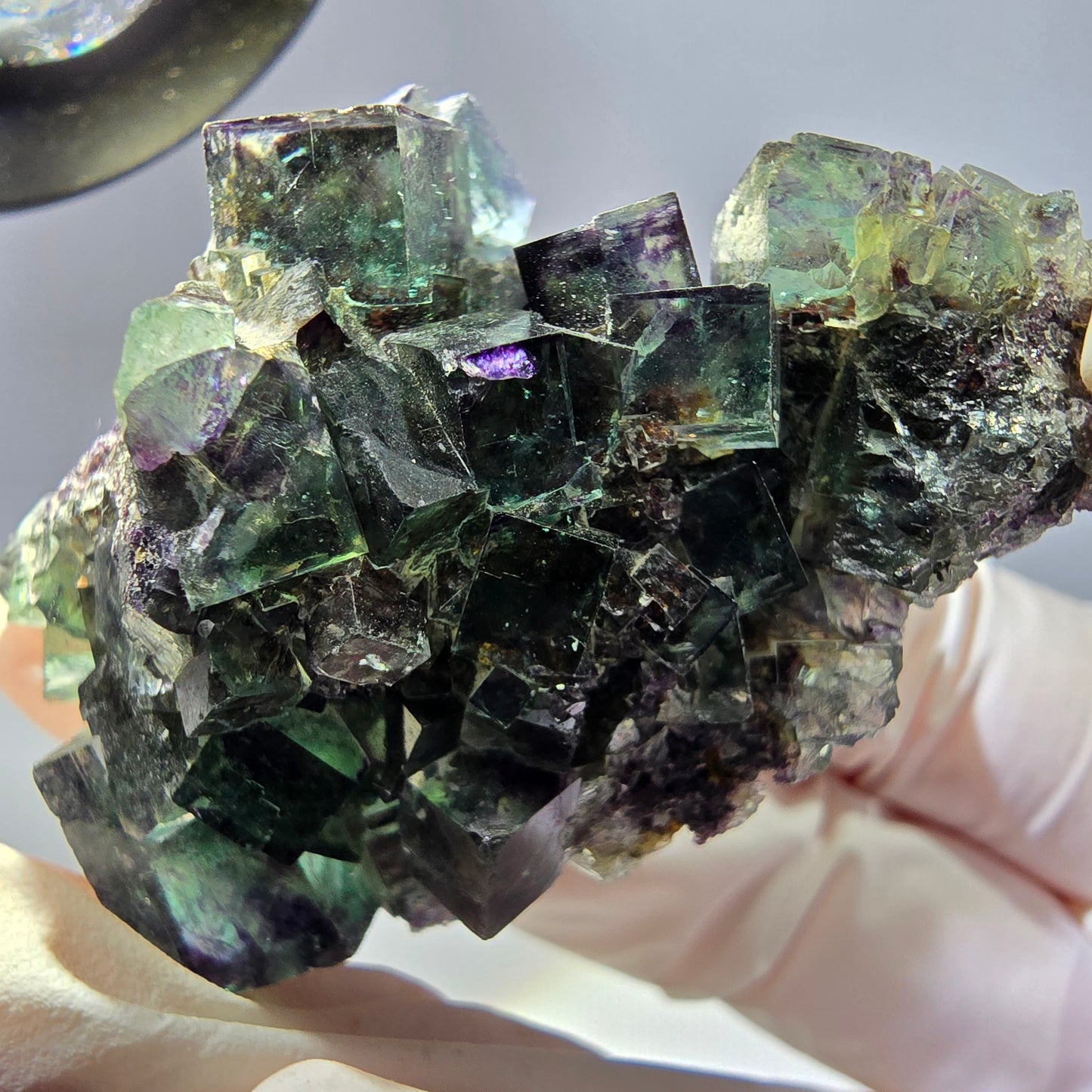 Spécimen de cube de fluorite fantôme parqueté vert violet Okorusu, Namibie 50*34*31mm